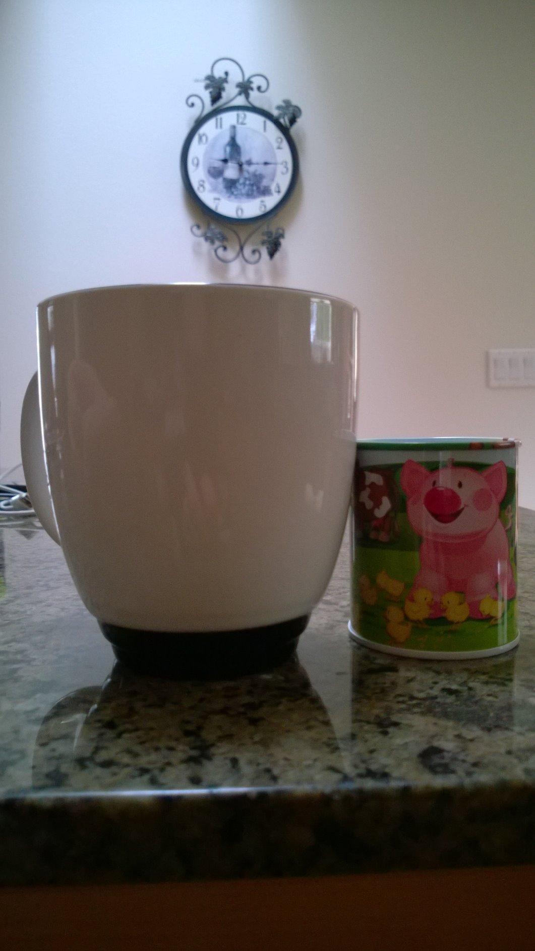 Schylling Animal Sound Maker, Tin (Sold Individually - Styles Vary) customer photo 1