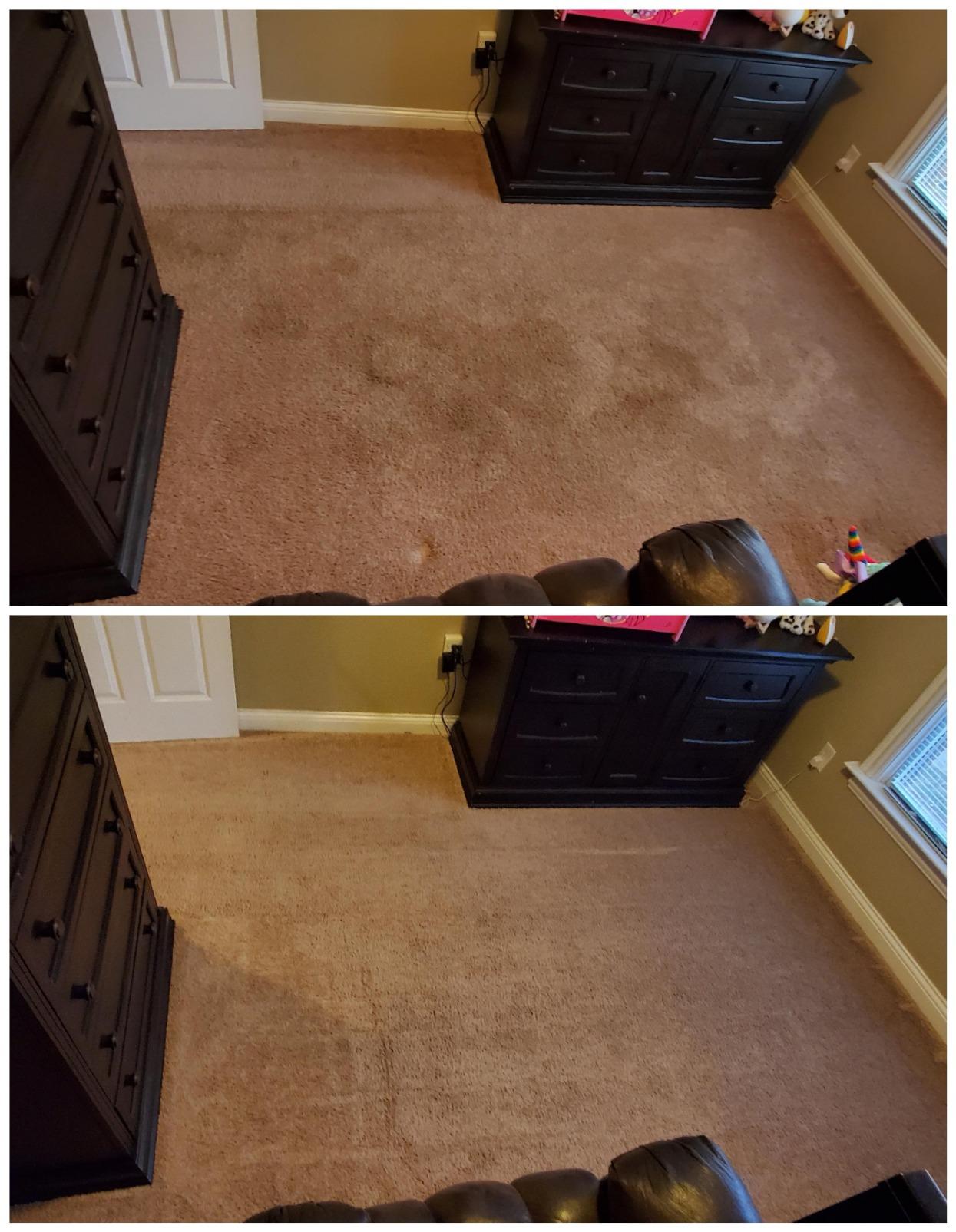 BISSELL Big Green Professional Carpet Cleaner, XL DirtLifter PowerBrush | 9-in. long reach hose; 6-in. tough stain tool; BISSELL PRO MAX Formula included; deep professional clean customer photo 1