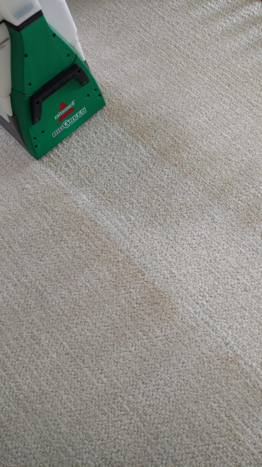 BISSELL Big Green Professional Carpet Cleaner, XL DirtLifter PowerBrush | 9-in. long reach hose; 6-in. tough stain tool; BISSELL PRO MAX Formula included; deep professional clean customer photo 2