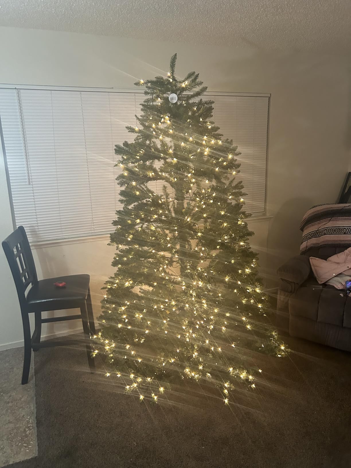 National Tree Company 6.5ft Pre-Lit Dunhill Fir Artificial Christmas Tree | 650 Clear Lights, 1,838 Tips, Includes Stand, Green customer photo 2