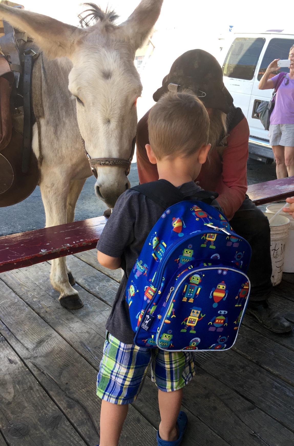 Wildkin 12 Inch Toddler Backpack for Kids, Trains, Planes, and Trucks customer photo 1
