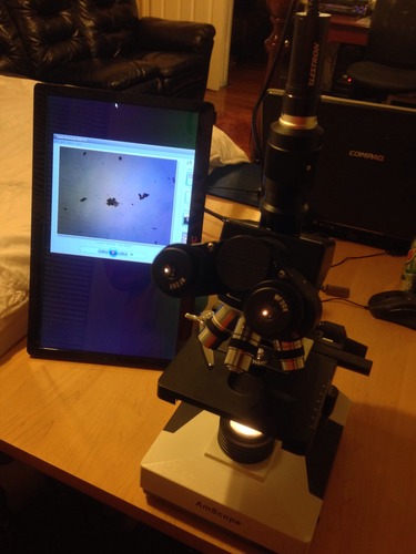 AmScope T490B Compound Trinocular Microscope, 2000X Magnification, 40X-2000X Magnification Range Compound Biological Microscope Mechanical Stage Built-In Condenser customer photo 1