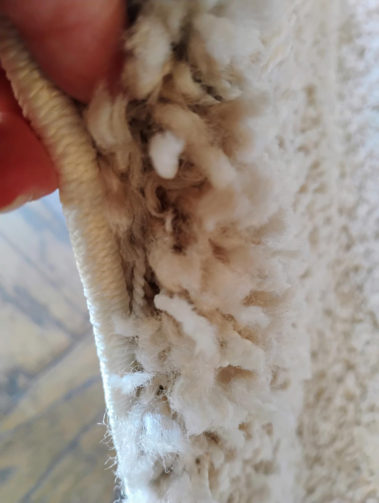 SAFAVIEH California Shag Collection Area Rug - 5'3' x 7'6', Beige, Non-Shedding & Easy to Clean, Ultra Plush Thick Pile, Ideal for Living Room, Bedroom, Dining Space (SG151-1313) customer photo 2