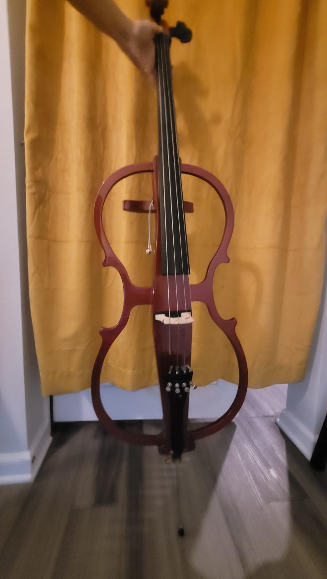 Cecilio 4/4 Electric Cello with Ebony Fittings, Professional Silent Electric Cello Kit with Bow, Rosin, Aux Cable and Headphone, Musical Instrument for Beginners, Black Metallic customer photo 2