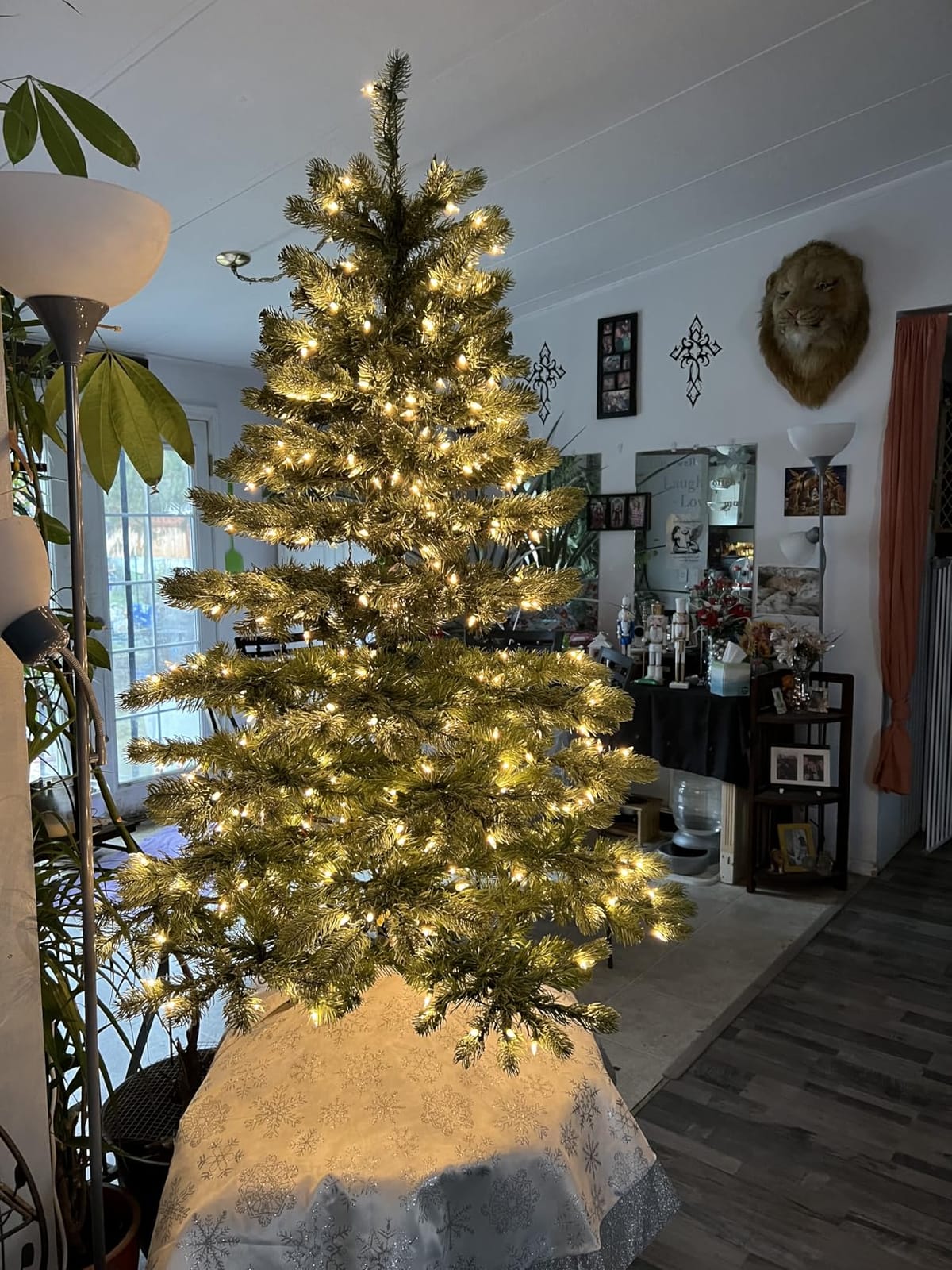 National Tree Company 7.5ft Pre-Lit Downswept Douglas Fir Christmas Tree | 750 Clear Lights, 1,867 Tips, Includes Stand, Artificial, Green customer photo 1