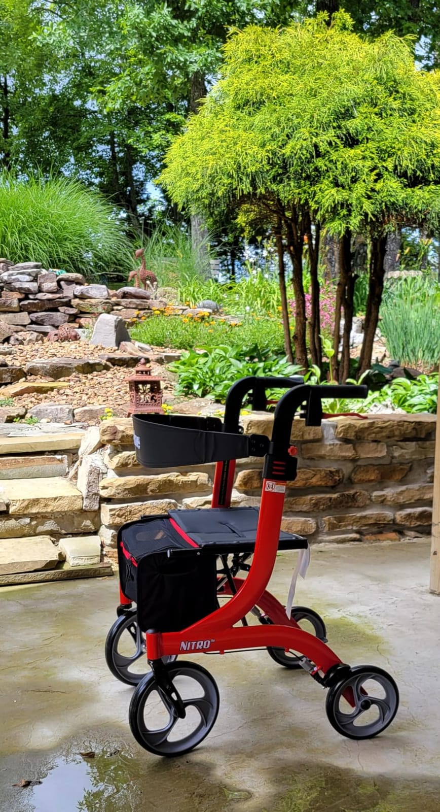 Drive Medical RTL10266 Nitro Euro-Style 4-Wheel Rollator with Seat, Red | Euro-Style 4-Wheel Rollator Walker with Seat for Comfortable, Convenient Everyday Mobility Support and Ease customer photo 1