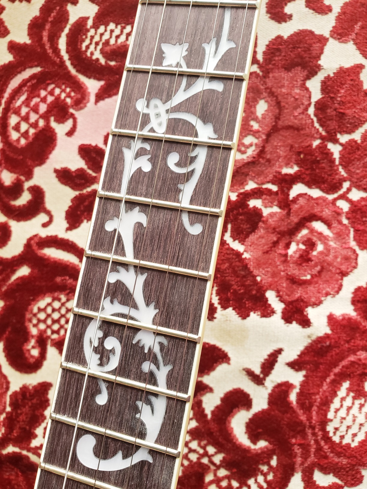 Ibanez B200 Banjo - Natural customer photo 1