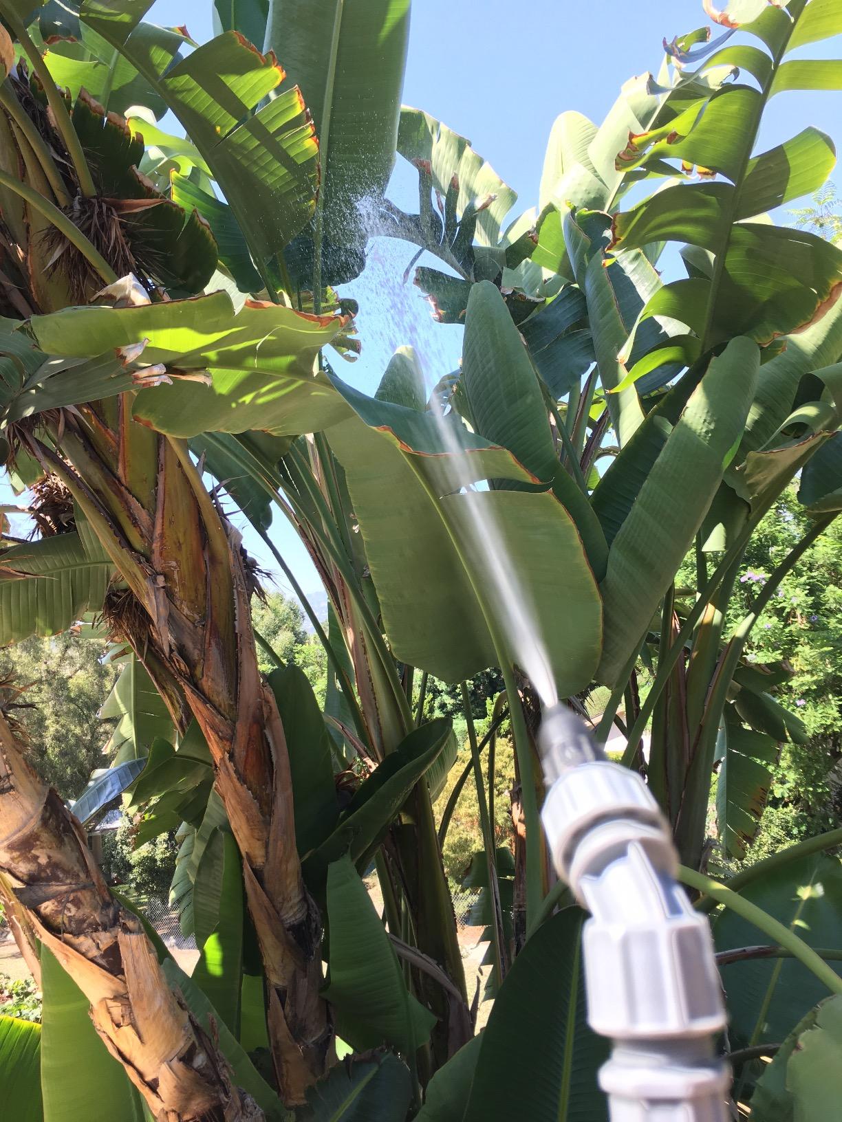 Roundup 190314 Backpack Sprayer for Fertilizers, Herbicides, Weed Killers & Insecticides, 4 Gallon customer photo 1