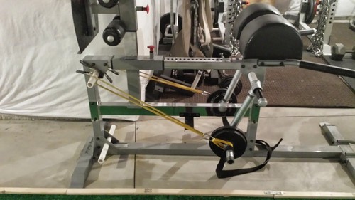 Body-Solid SGH500B Glute and Hamstring Machine for Weight Training, Home and Commercial Gym customer photo 1