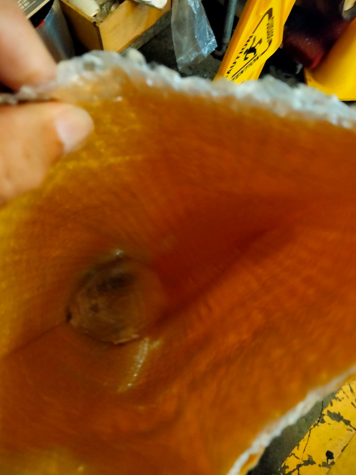 Supreme White Wine Mother of Vinegar (New & Improved Mother) customer photo 1
