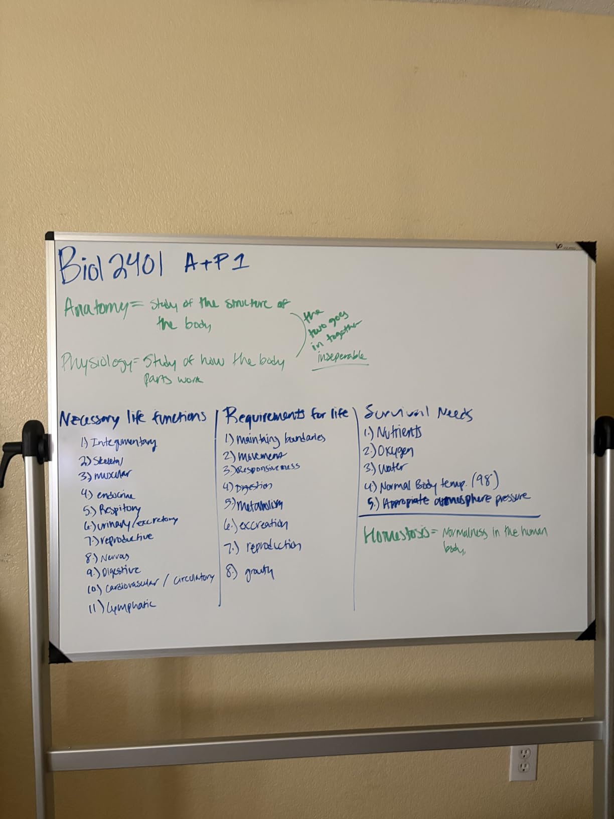 VIZ-PRO Double-Sided Magnetic Mobile Whiteboard, 48