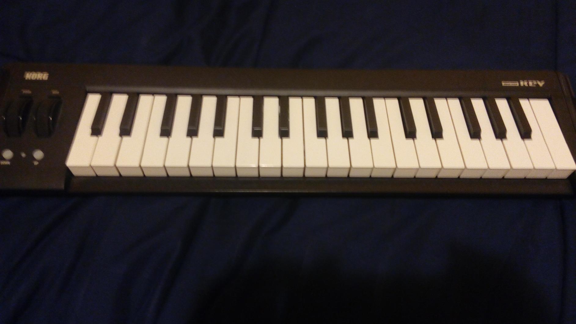 Korg Keyboard Amplifier, 61-Key (MICROKEY261) customer photo 1