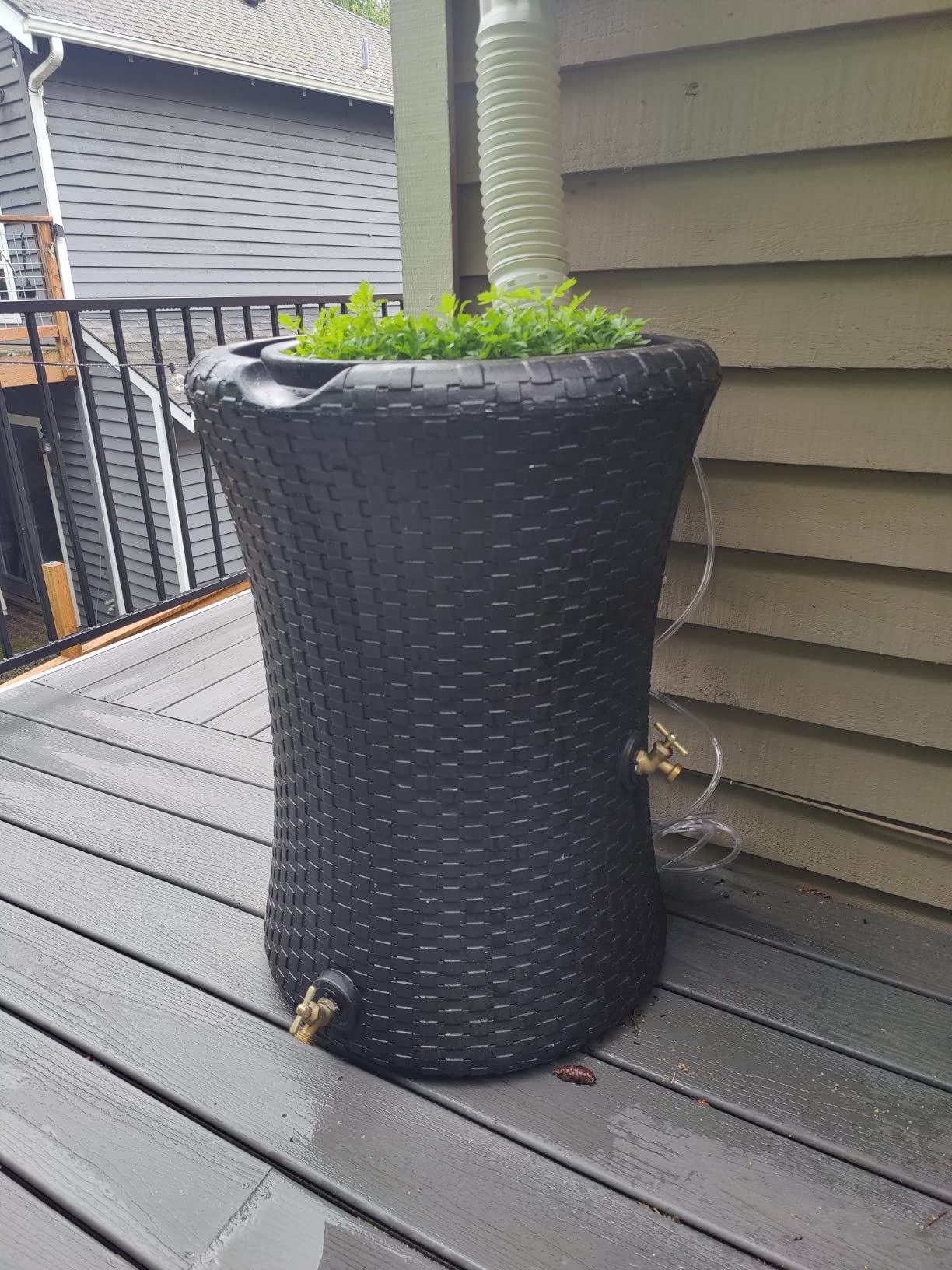 Good Ideas Impressions Nantucket Rain Water Collection Barrel, 50 Gallon | Dark Brown Rainwater Catcher, Outdoor Home Water Storage Collector with Garden Planter and Metal Spigots customer photo 2