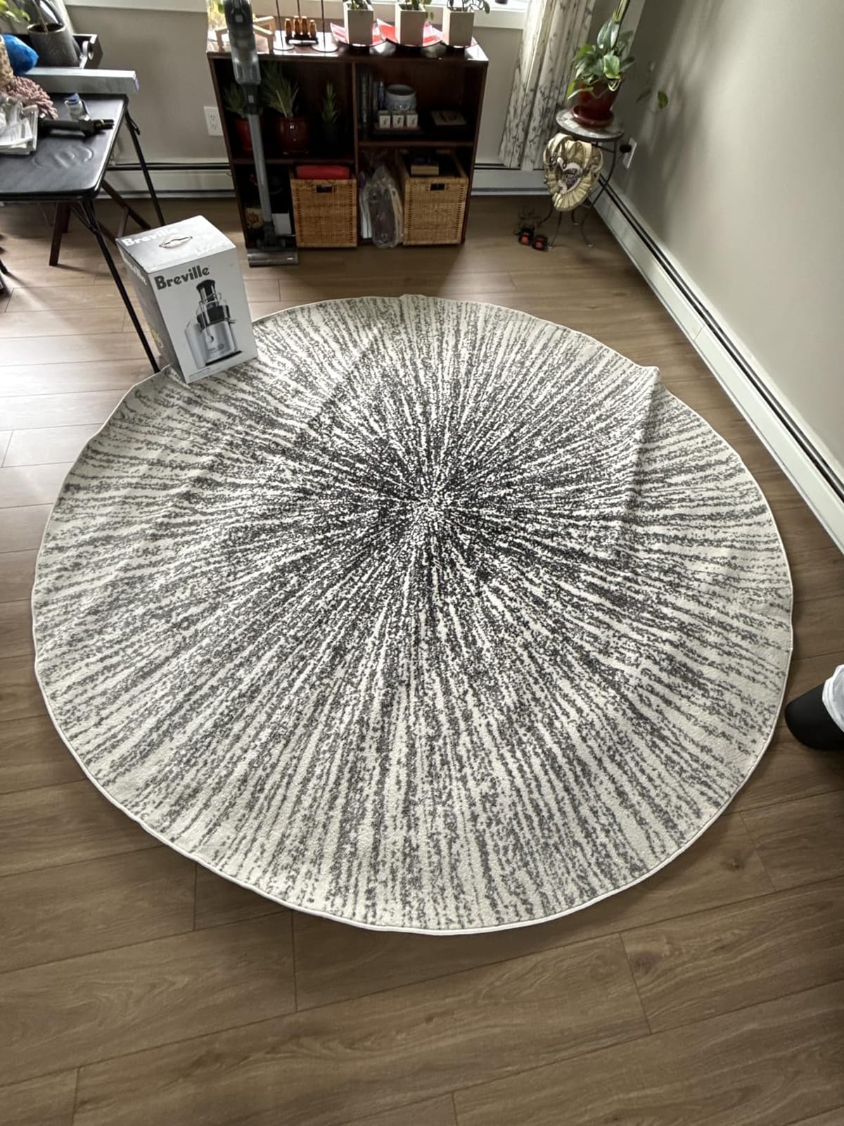 SAFAVIEH Evoke Collection Area Rug - 6'7
