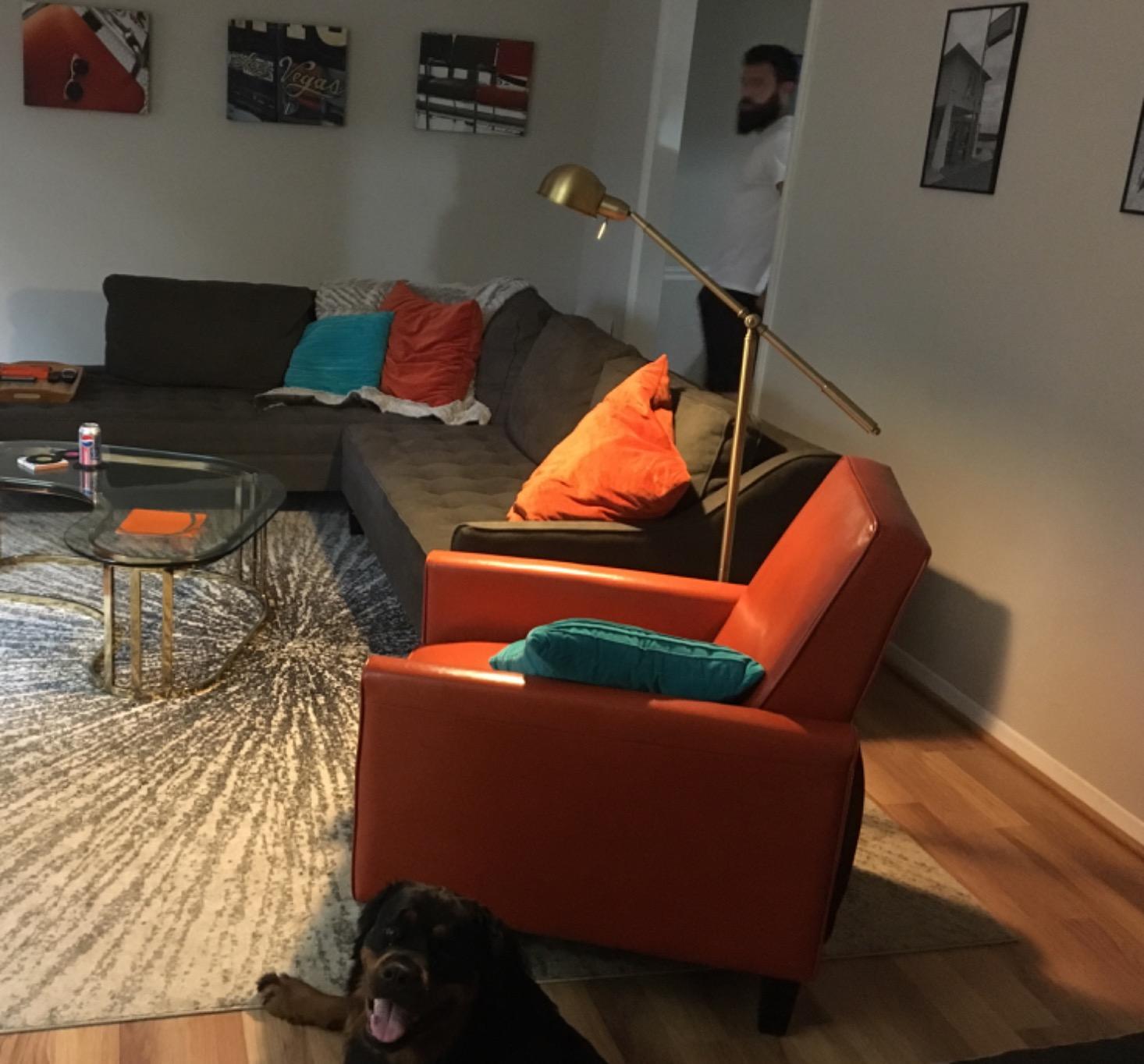 Dawson Antique Brass Adjustable Boom Arm Pharmacy 55 inch Tall Floor Lamp, Traditional Farmhouse Task Light Standing Metal Balance Gold Shade Decor for Living Room Reading House Bedroom customer photo 1