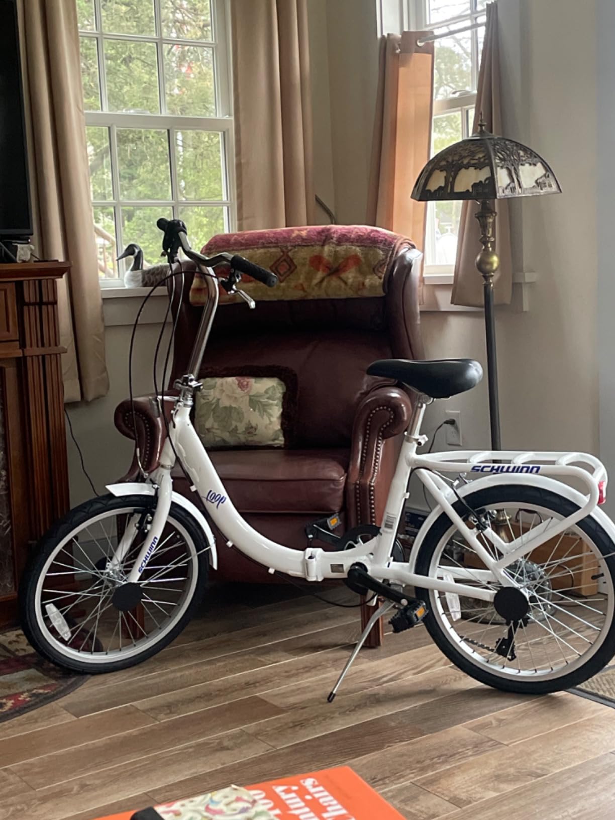 Schwinn Loop Folding Bike customer photo 1