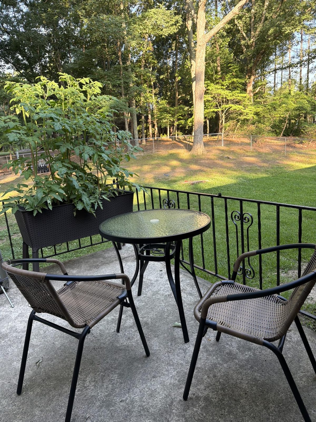 Flash Furniture Lila Modern Rattan Indoor/Outdoor Stackable Dining Chairs, Stacking Rattan Bistro Chairs for Patio or Restaurant, Set of 4, Black customer photo 2