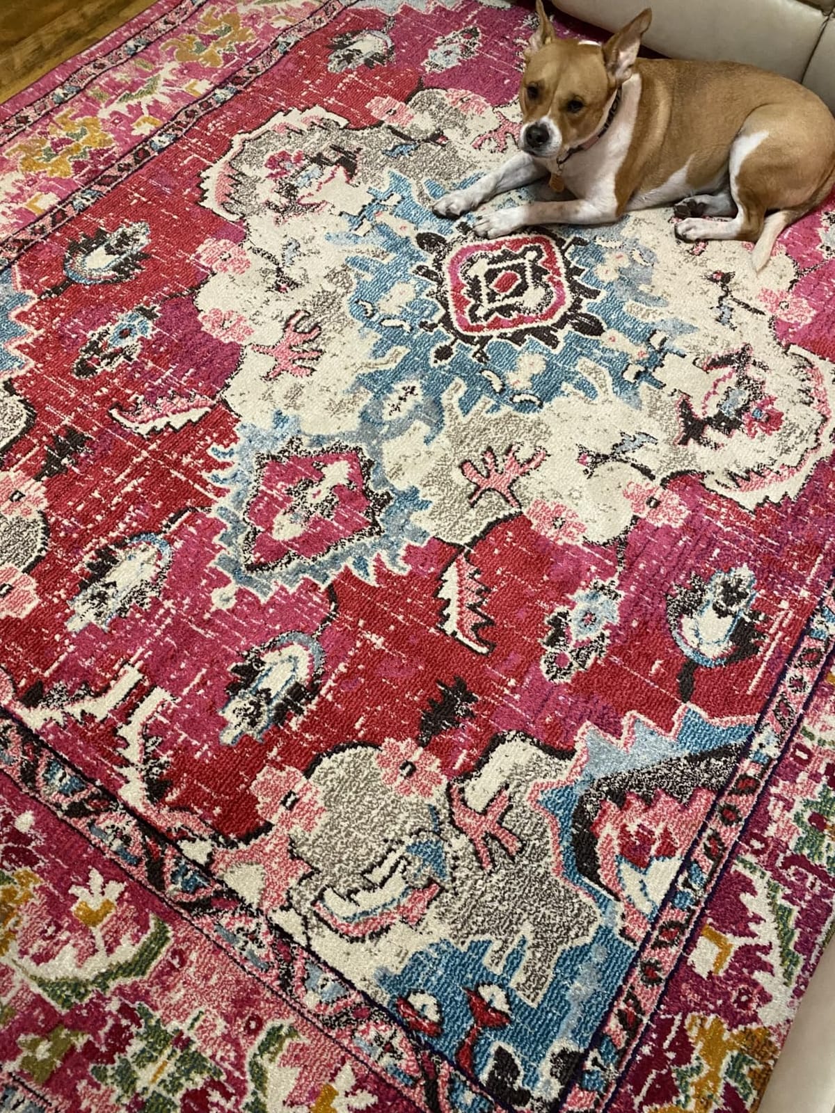 SAFAVIEH Monaco Collection Area Rug - 8' x 10', Navy & Light Blue, Non-Shedding & Easy to Clean, Distressed Medallion Design, Ideal for Living Room, Bedroom, Dining Space (MNC243N) customer photo 1