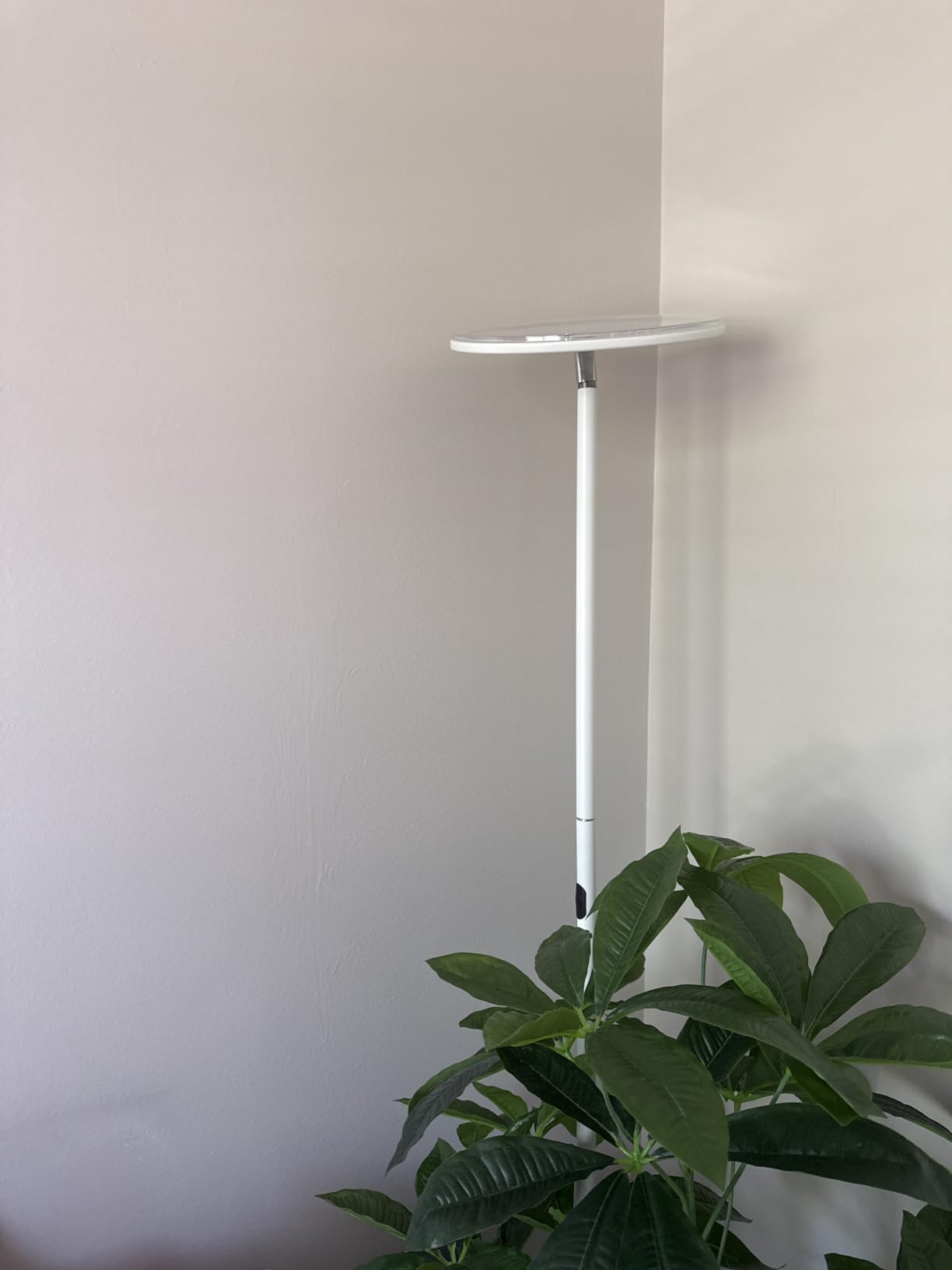 Brightech Sky LED Floor lamp, Torchiere Super Bright Floor Lamp for Living Room Decor & Office - Dimmable, Tall Standing Lamp with Warm Light for Bedroom & Reading - Bronze customer photo 2
