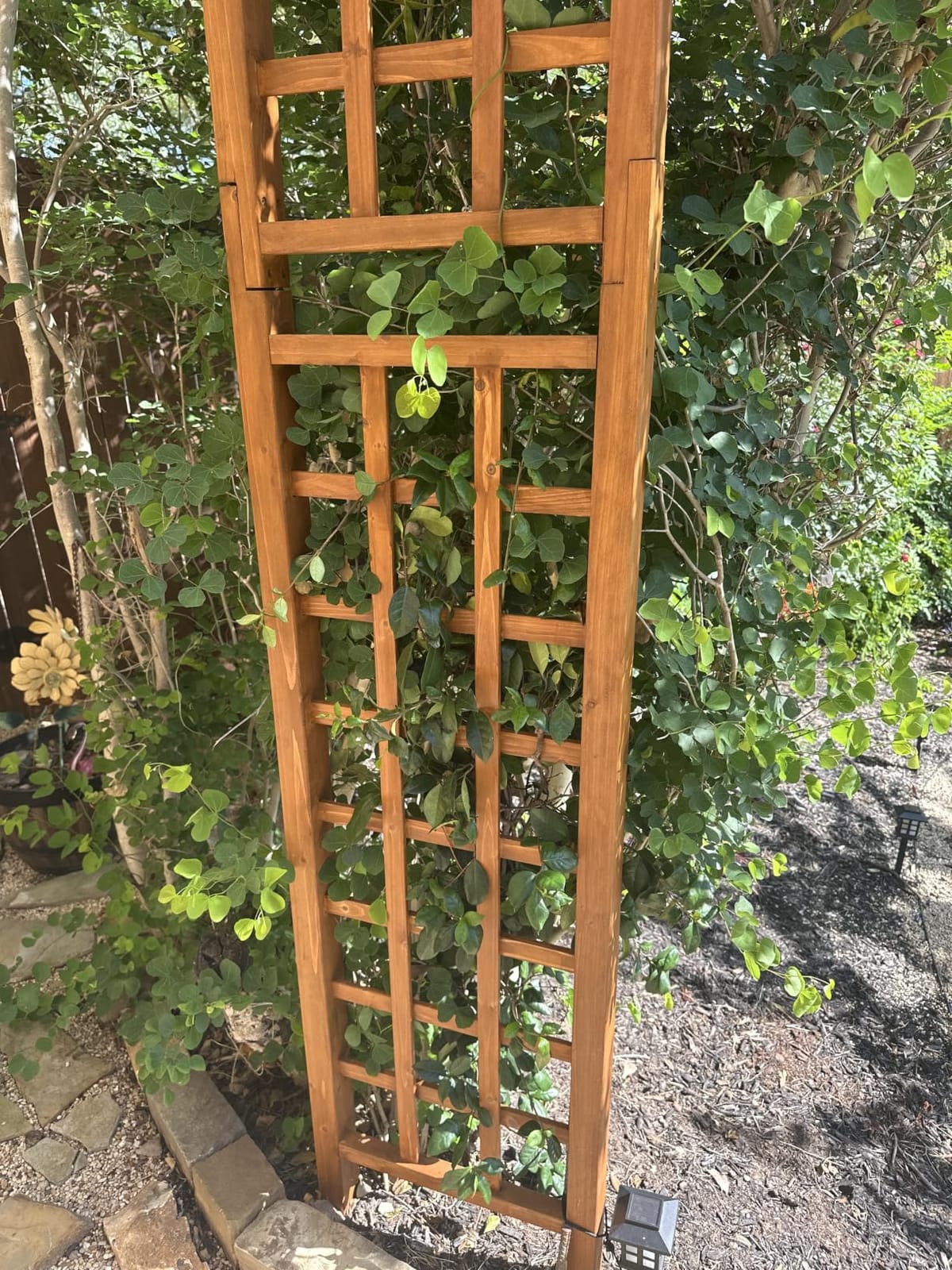 Outsunny 90in Wood Garden Arbor Arch with Trellis Wall Decor for Party | for Climbing & Hanging Plants, Weddings, Birthdays, Backyards customer photo 1