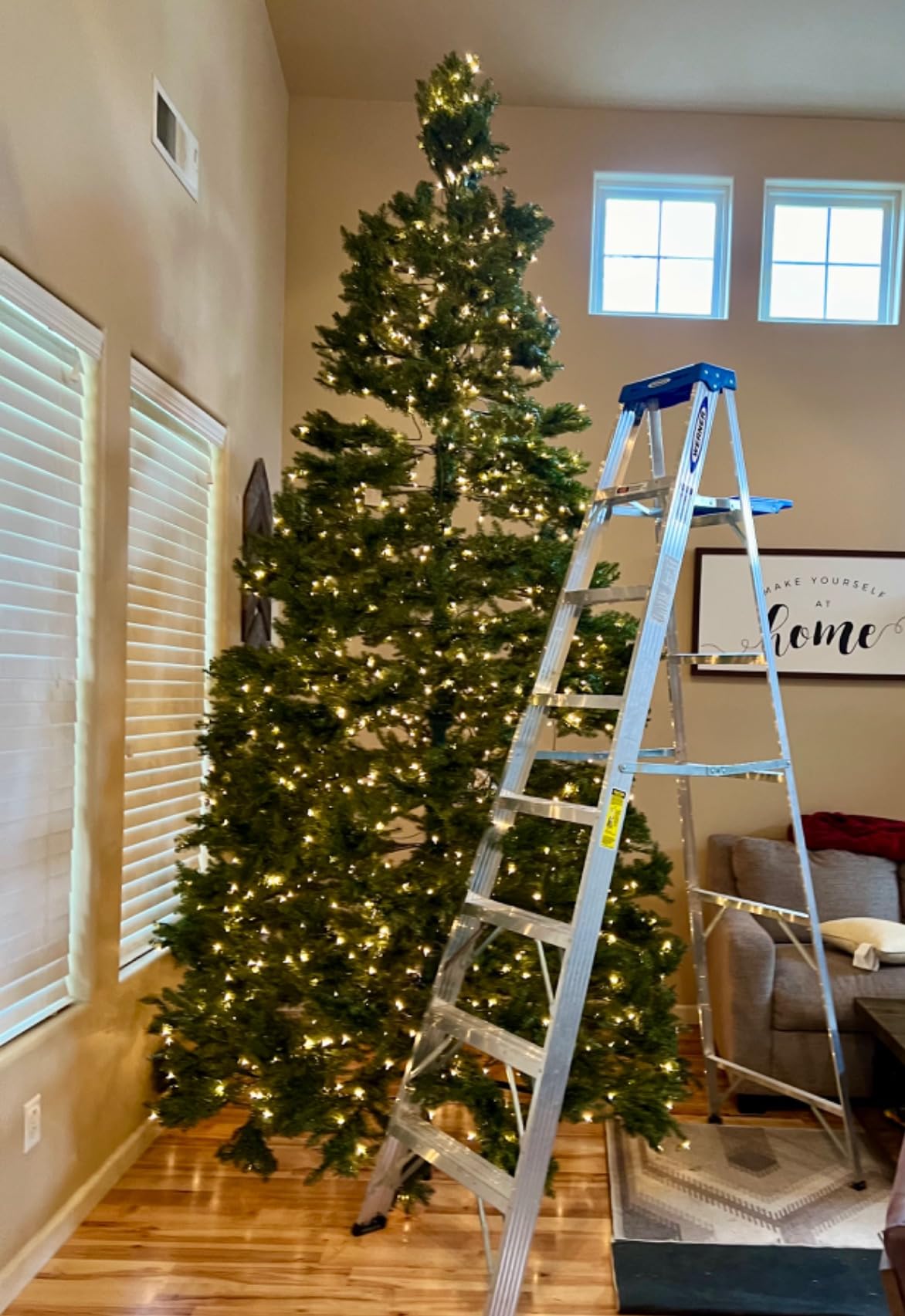 National Tree Company 6ft Pre-Lit Dunhill Fir Artificial Christmas Tree | 600 Clear Lights, 1,430 Tips, Includes Stand, Green customer photo 2