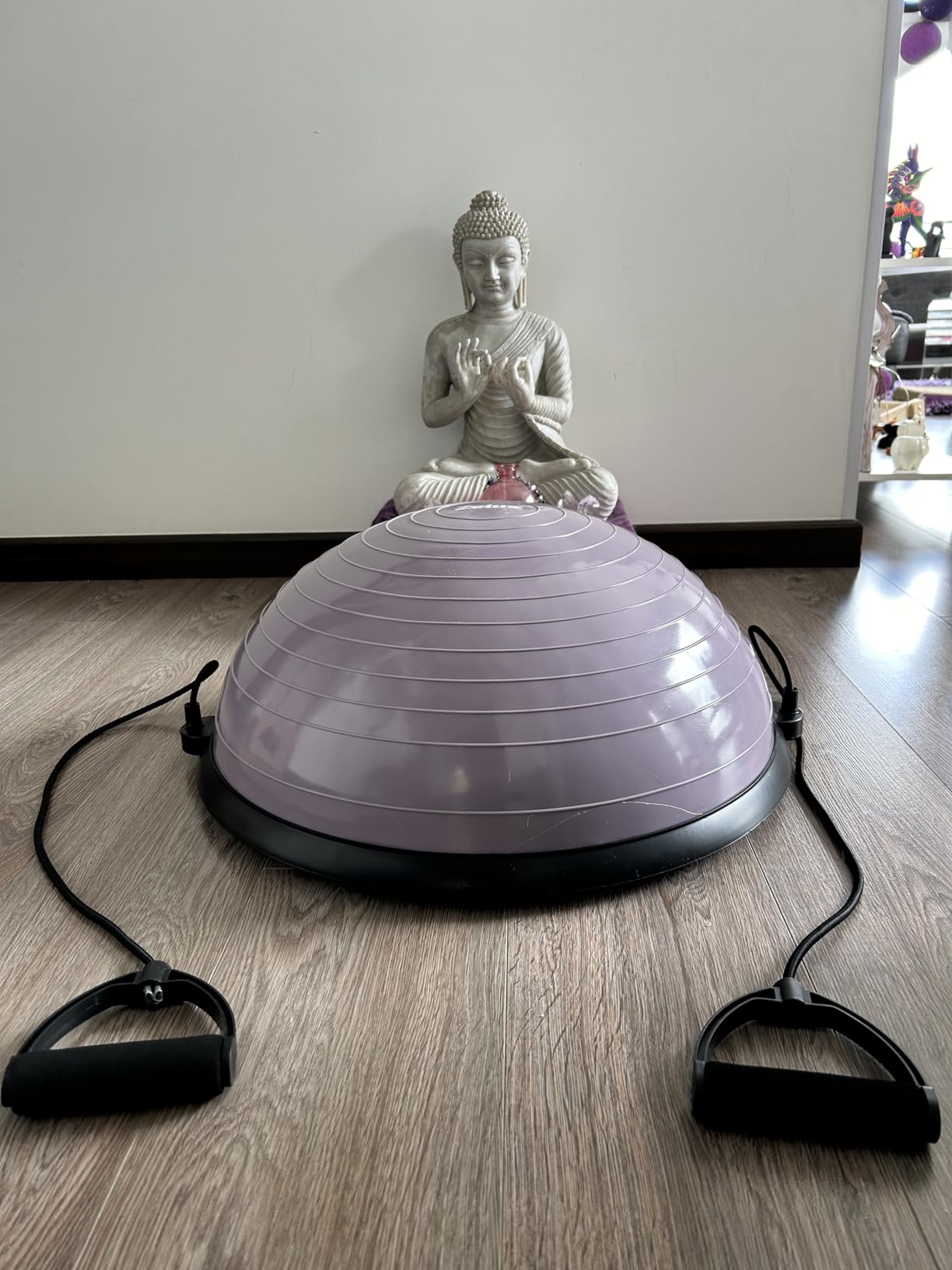 ZELUS Half Balance Ball Trainer with 55cm Yoga Ball, Resistance Bands & Foot Pump, 660 lbs Non-Slip Exercise Ball for Core Strengthening, Stability & Balance Training, Full-Body Home Gym Training customer photo 1