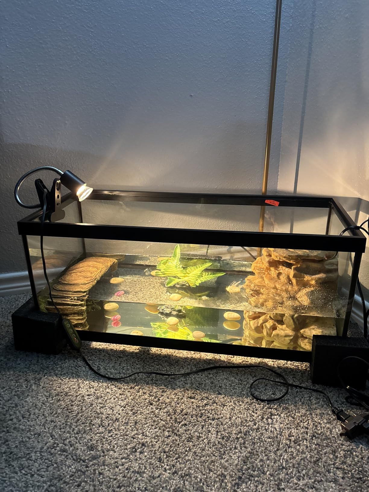 Tetra 20 Gallon Deluxe Aquarium Kit for Aquatic Turtles | Includes 2 Heat Lamps, 20 Gallon Glass Tank With Screen, Decorative Water Filter With Cartridges, Basking Platform, Plant customer photo 1