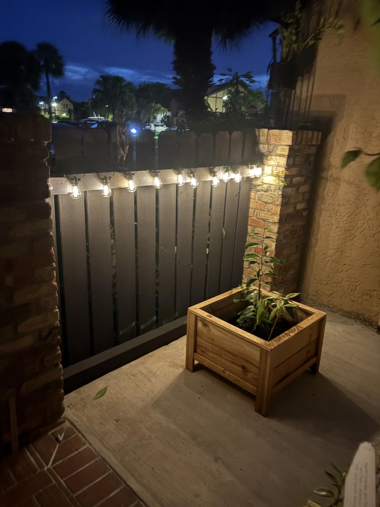 Brightech Ambience Pro Solar Powered Outdoor String Lights -27 ft Commercial Grade Waterproof Edison Patio Lights, Shatterproof LED String Lights for Outside, Porch - 12 Bulbs, 1W Soft White customer photo 2