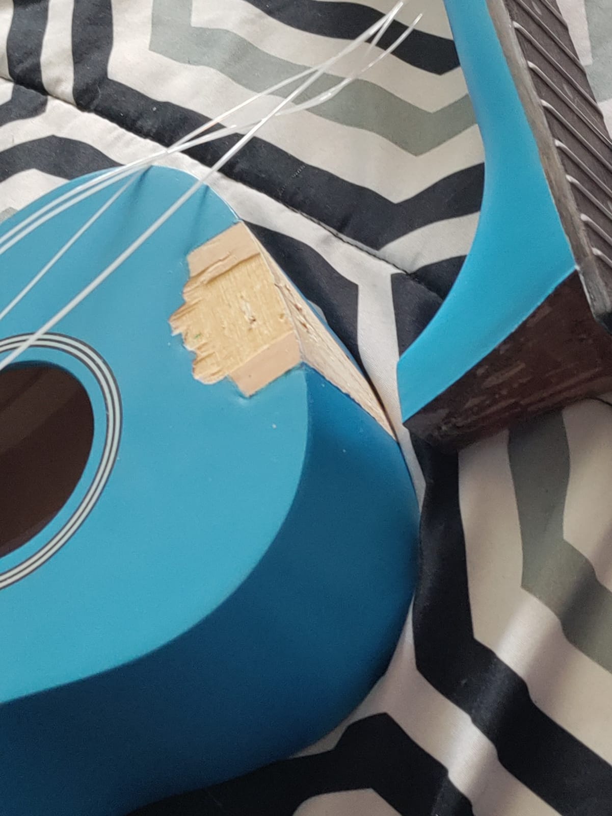 Soprano Ukulele Beginner Kit 21 Inch with Free Online Lesson Fast to Learn | for Kids Adult Student Starter Professional, with Case Strap Tuner Strings Picks customer photo 1