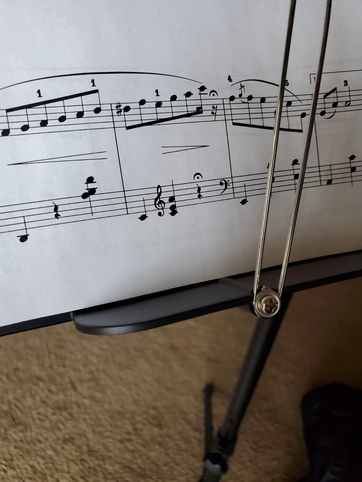 Donner DMS-1 Sheet Music Stand with Light & Carrying Bag | Portable Metal Music Stand, Tabletop Music Book Stand for Guitar, Ukulele, Violin Players customer photo 2