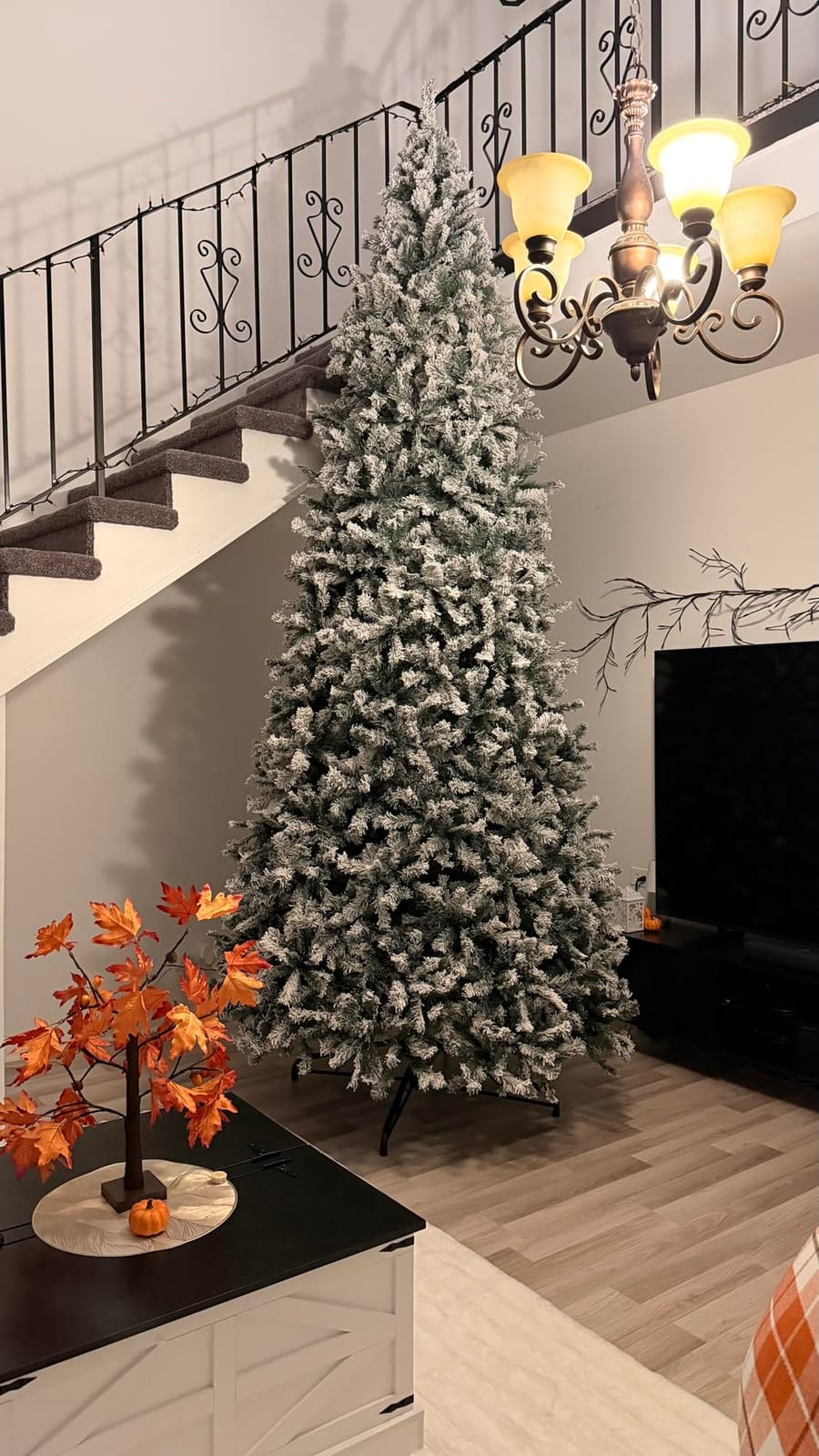 Best Choice Products Artificial Flocked Christmas Tree, 6ft Premium Unlit Pine Holiday Décor w/Full Branches, Metal Stand - Green customer photo 2