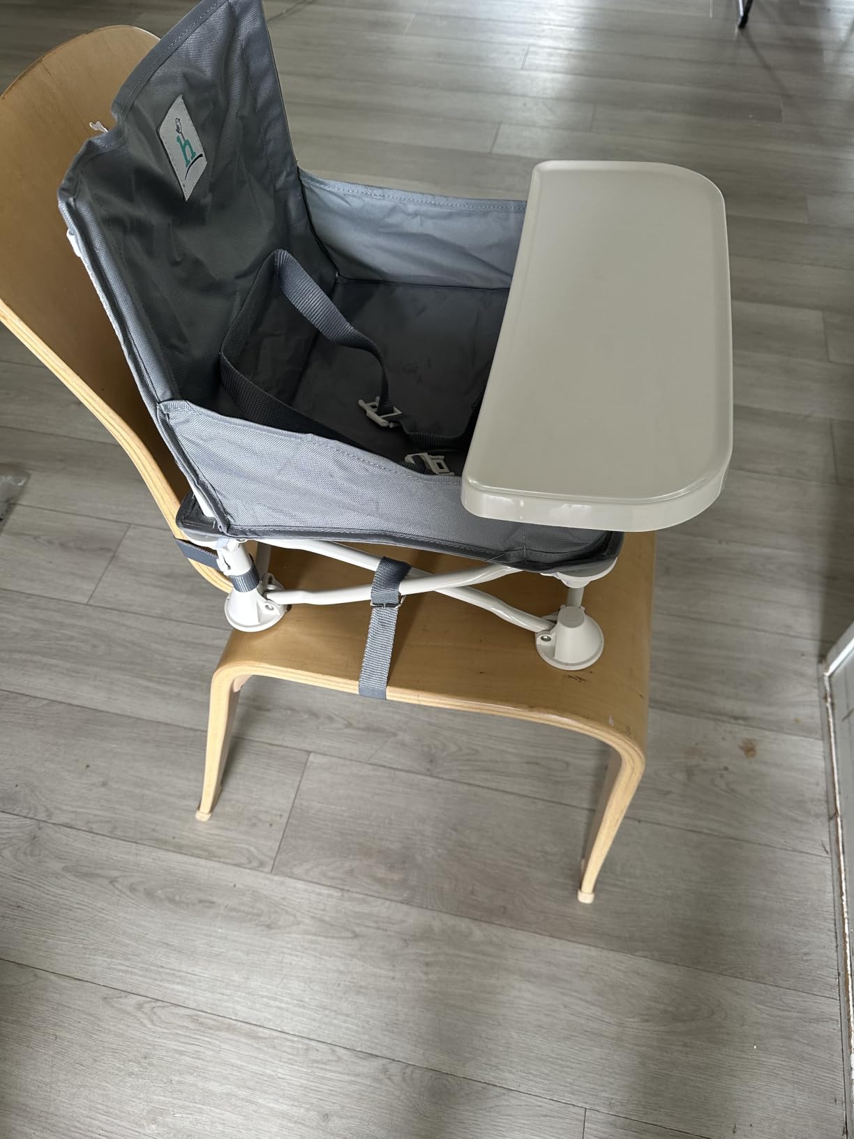 OmniBoost Booster Seat with Tray, Travel High Chair, Baby Chair, Teal customer photo 1