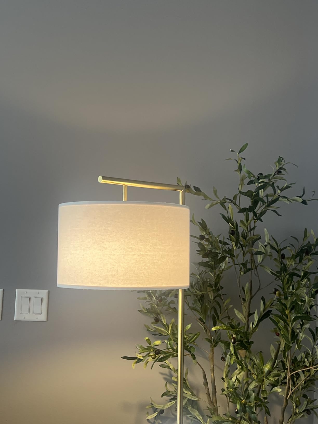 Brightech Montage Modern Floor Lamp - LED Standing Lamp with Tan Shade for Living Rooms & Offices - Bedroom Reading Light - Tall Corner Pole Lamp for Contemporary Home Decor - Black customer photo 1