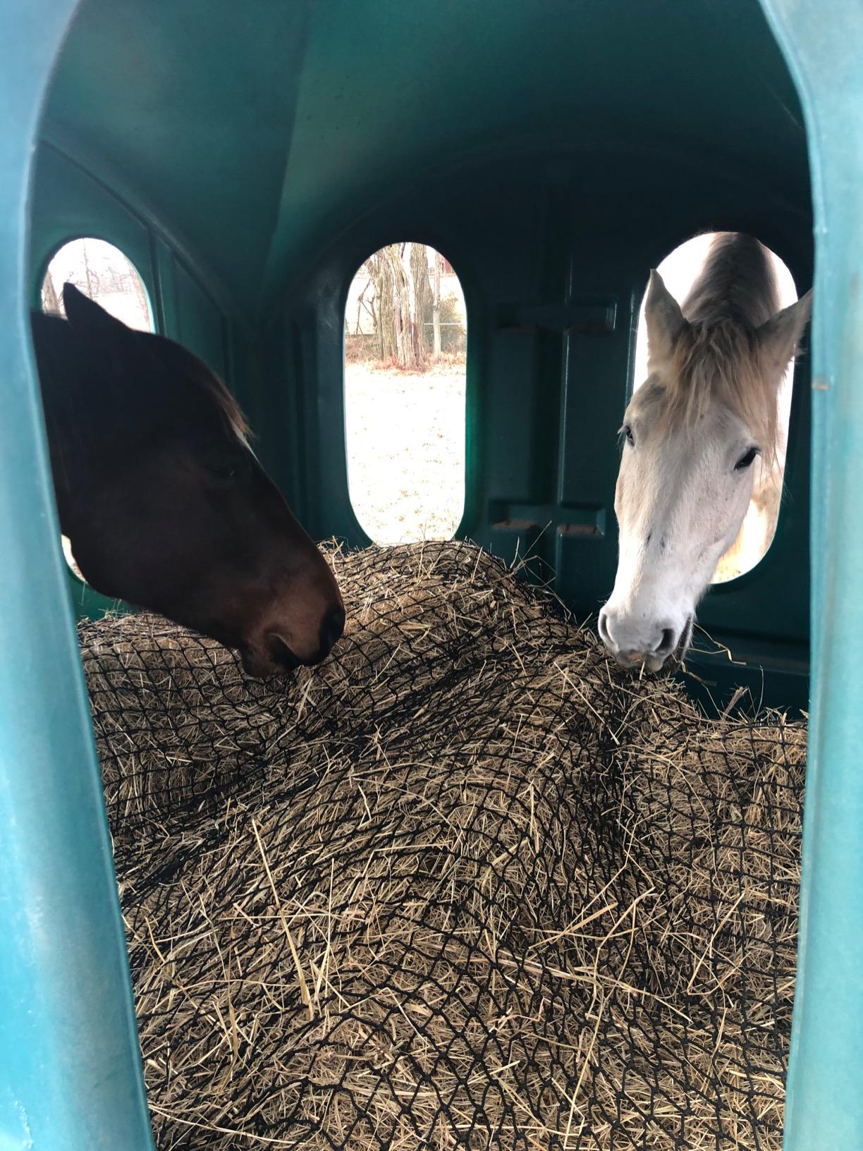 Texas Haynet - Round Bale Hay Net Slow Feed - Durable Round Bale Feeder for Horses - American Made UV Resistant Nylon Net - Fits Round Bales 4x6-6x6 or Square Bales 3x3x8-4x4x8 with 1.75