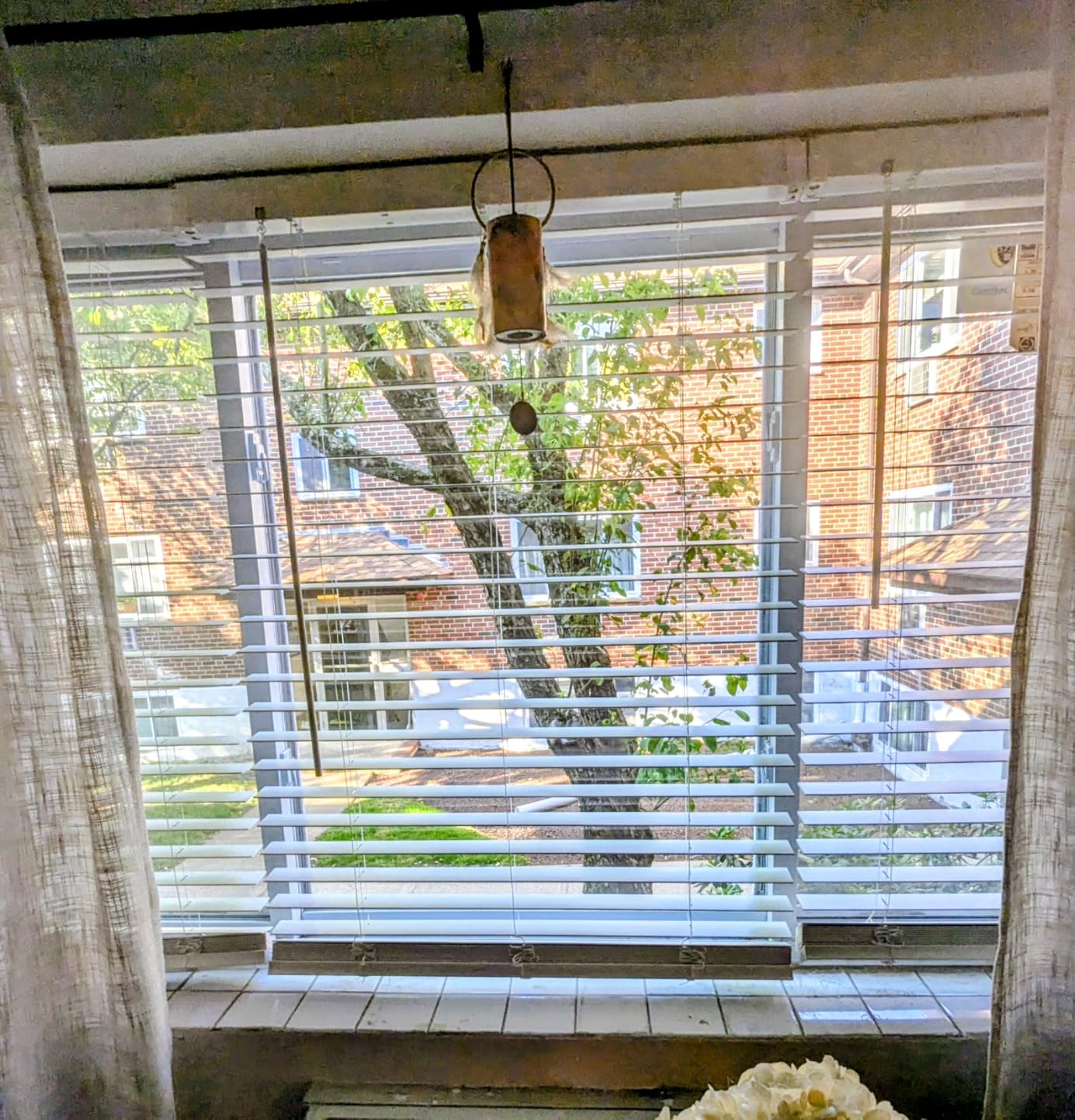 ARLO BLINDS 2