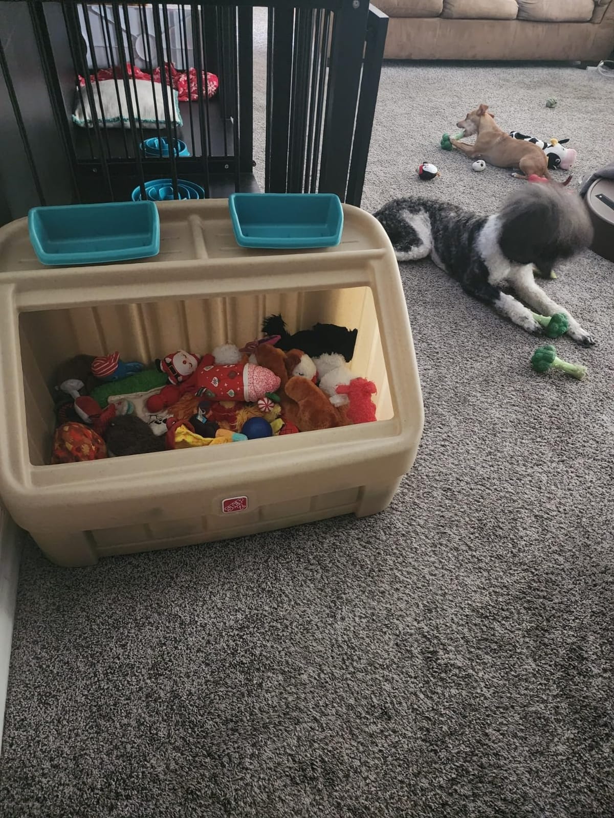 Step2 2-in-1 Toy Box & Art Lid, Kids Toy Storage Bin & Organizer, Easel & Chest in One, Made of Durable Plastic, For Toddlers 2+ Years Old, Gray customer photo 1