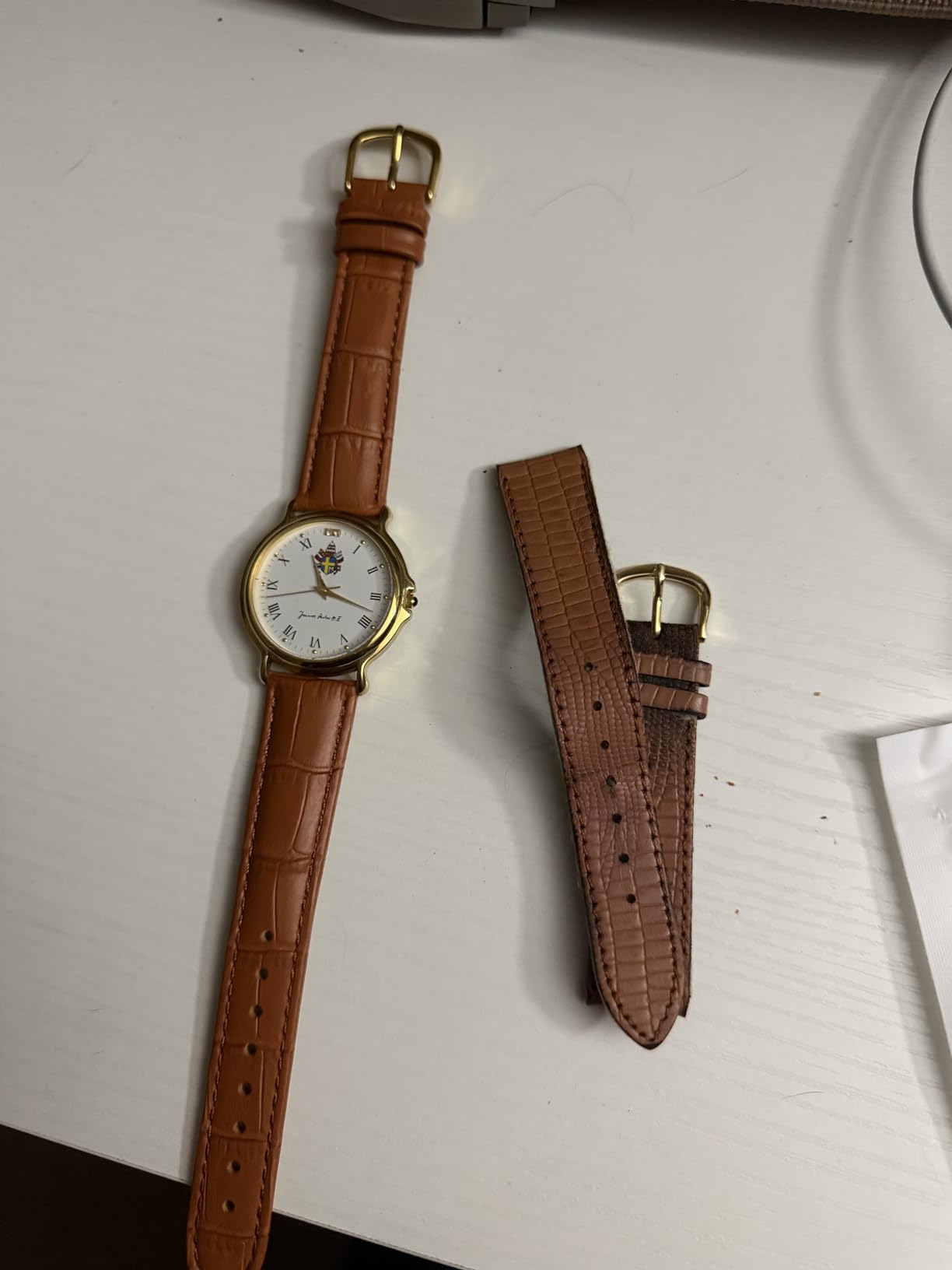EACHE Croco Design Leather Watch Bands, Classical Leather Watch Straps For Women&Mens Waterproof 12mm 14mm 16mm 18mm 19mm 20mm 22mm customer photo 2