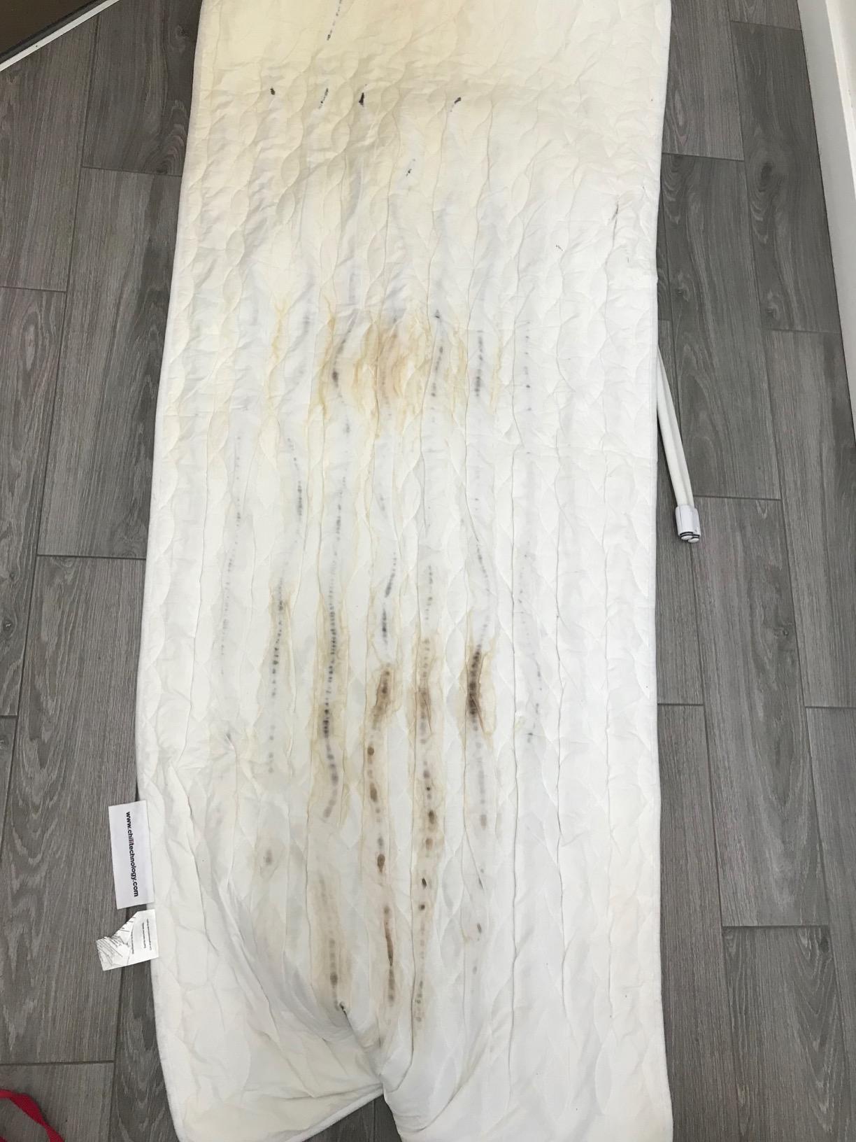 Chilipad Cube Bed Cooling System - Cooling & Heating Mattress Topper, ME Half Queen Bedsize, Model: CP500 customer photo 2
