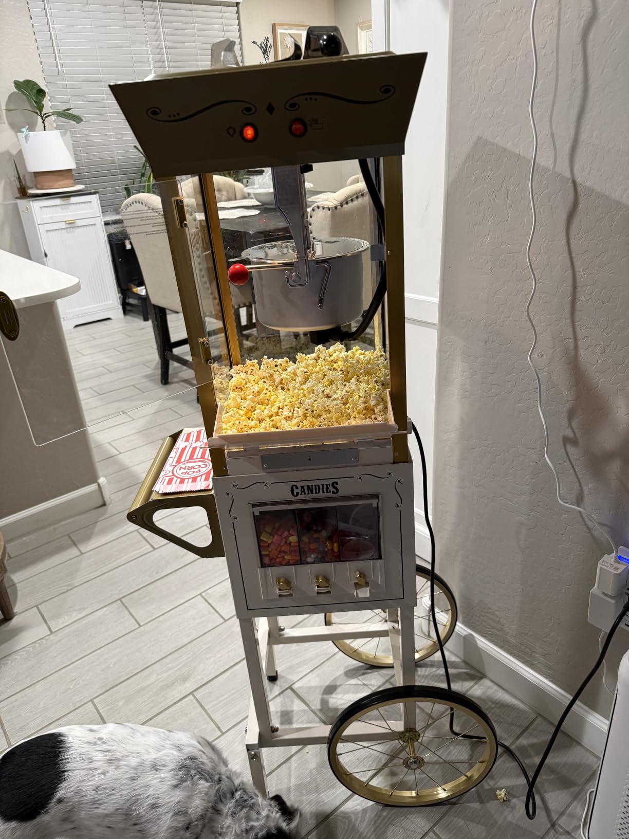 Nostalgia Popcorn Maker Machine - Professional Cart With 8 Oz Kettle Makes Up to 32 Cups - Vintage Popcorn Machine Movie Theater Style - Black customer photo 2