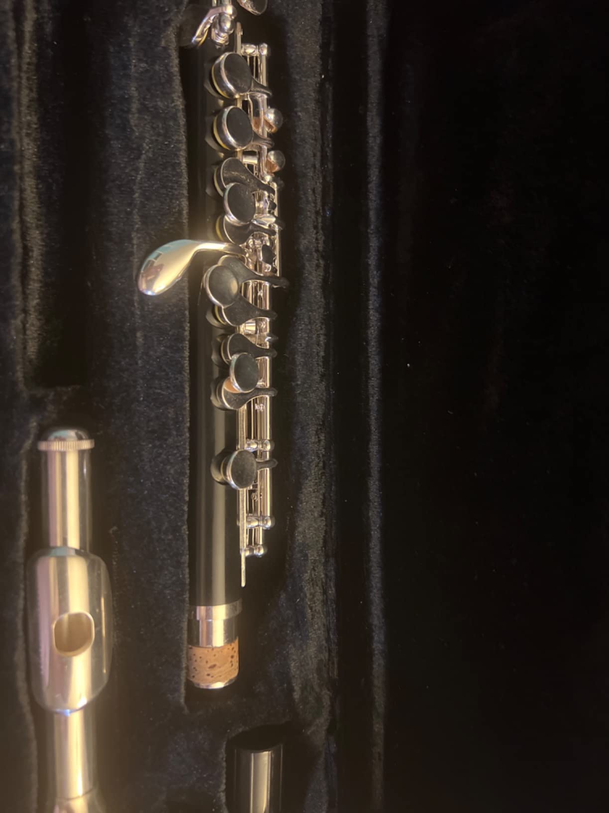 Eastar Key of C Beginner Student Piccolo, Case Full Kit, Nickel, EPC-1 customer photo 1