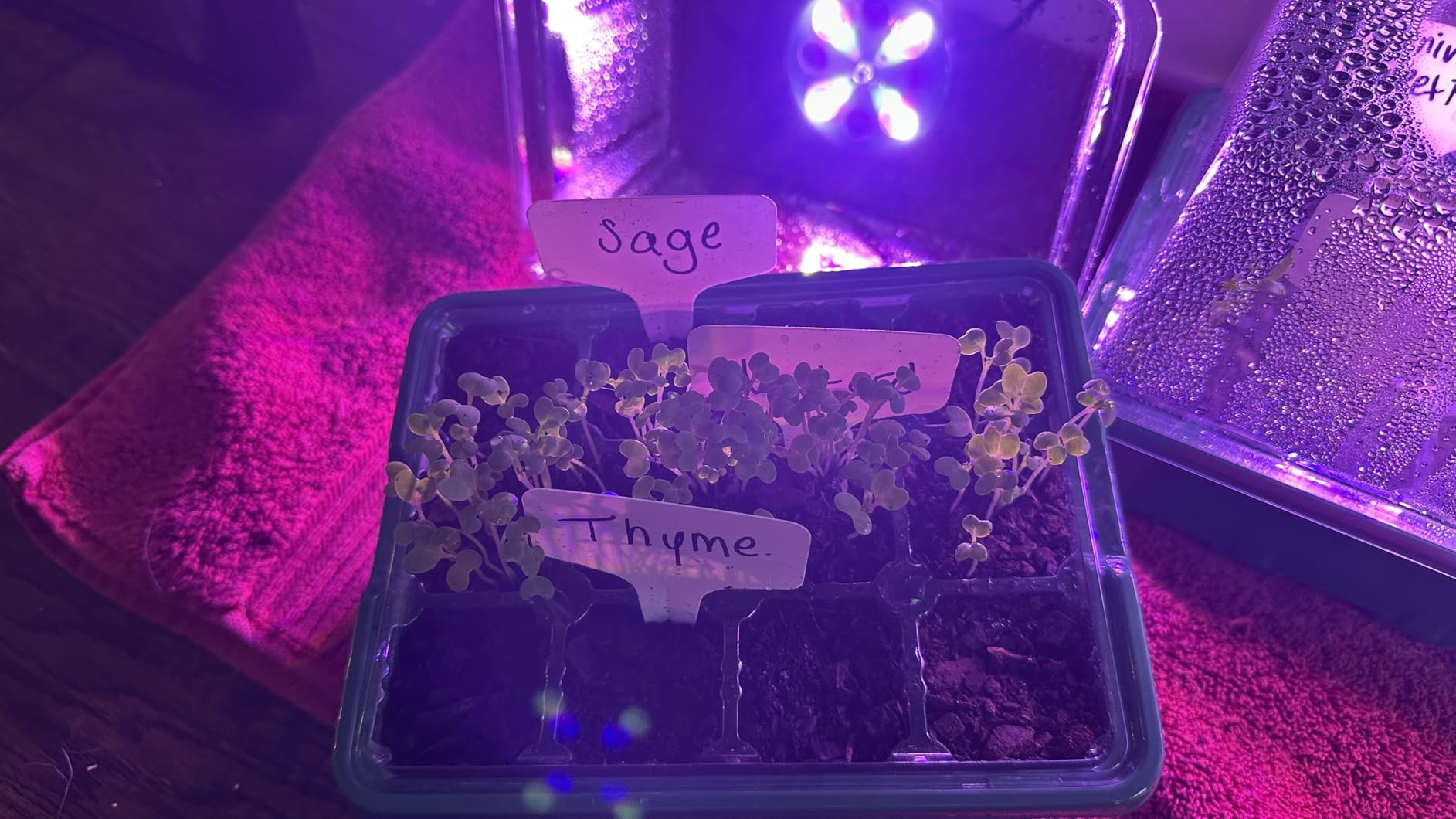 MIXC 4 Pack Seed Starter Kit with Grow Light, Vented Humidity Dome, Green | Full-Spectrum LED, Clear 12-Cell Tray, Reusable Plant Germination Trays with Elevated Lid for Indoor Plant Seed Starting customer photo 1