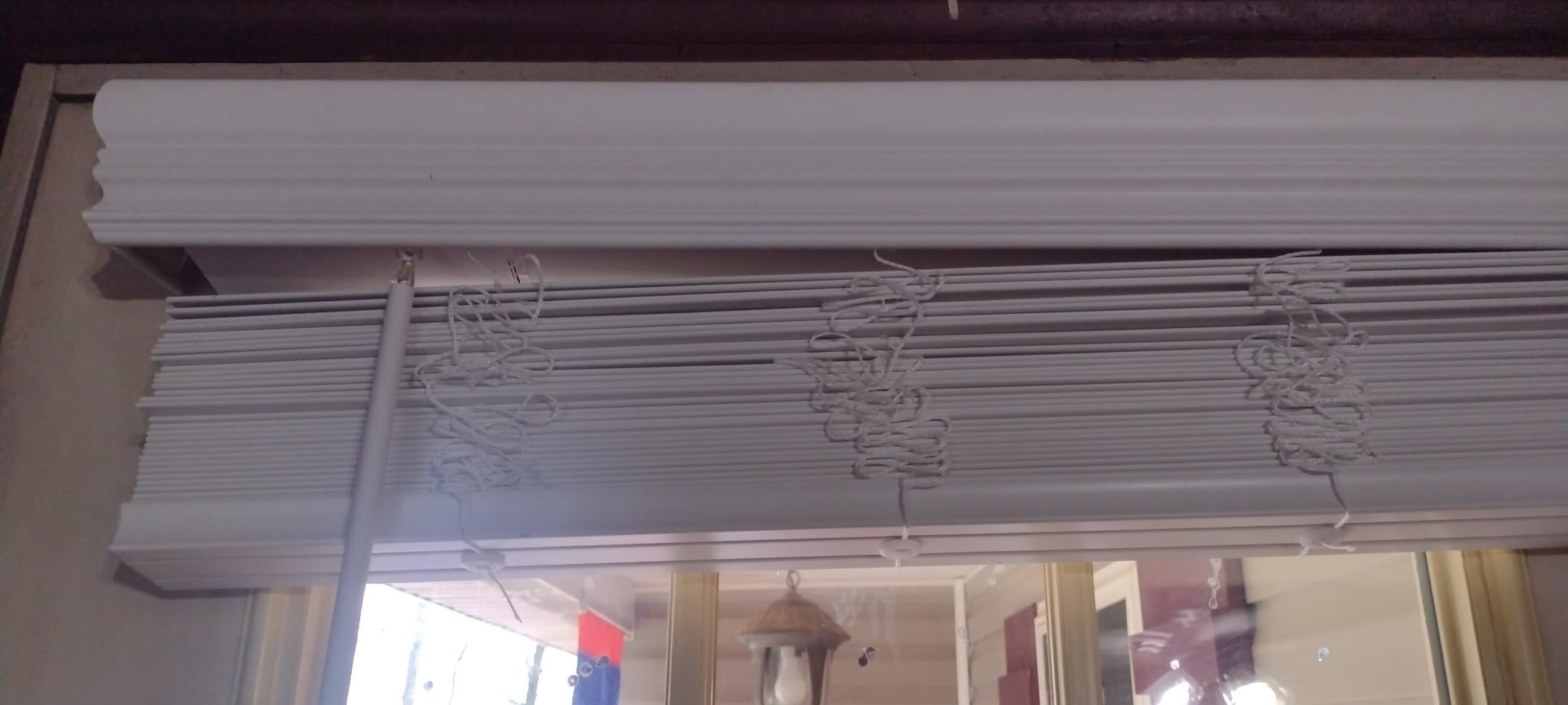 CALYX INTERIORS 2
