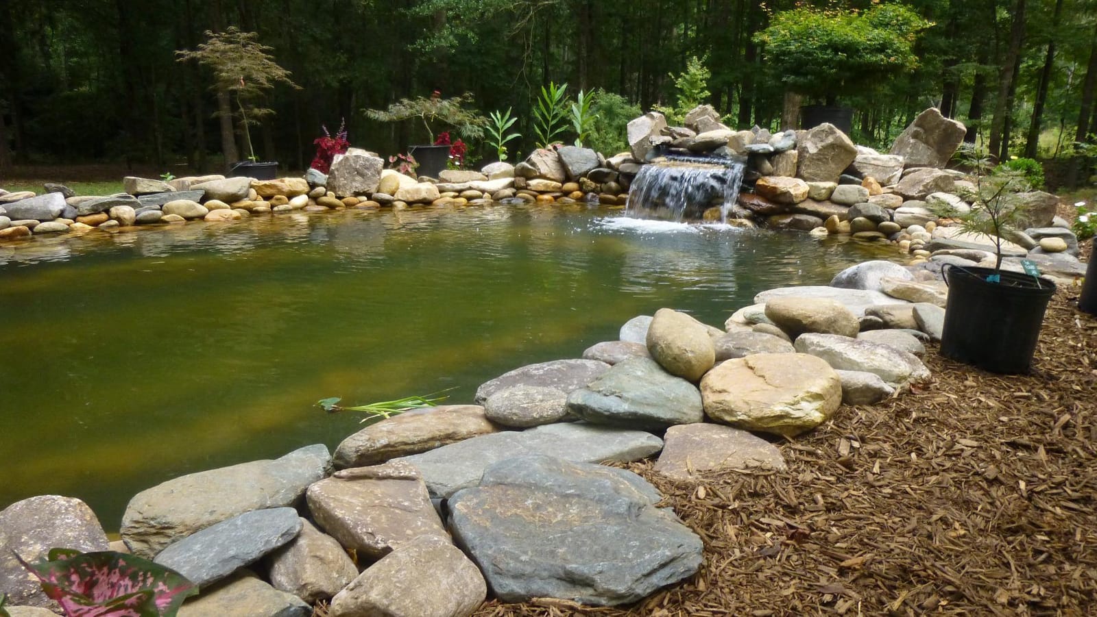 HALF OFF PONDS Complete Pro 5200 GPH Pond Kit 20 x 25 Ft EPDM Liner | Custom water feature kit, Savio filter, Crystal Falls skimmer, Aqua Pulse pump, LED spot light, All hardware included customer photo 2
