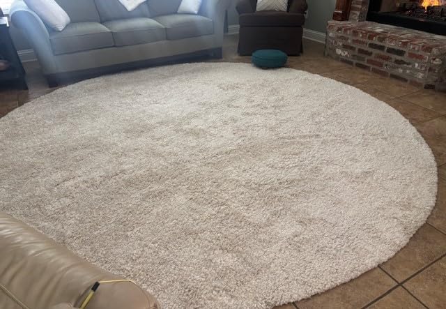 SAFAVIEH Area Rug 8x10 - August Shag Collection - Large - Ivory, Solid Pattern, Non-Shedding & Easy Cleaning, Plush Thick Pile, Ideal for Living Room, Bedroom, Dining Space (AUG900C) customer photo 2