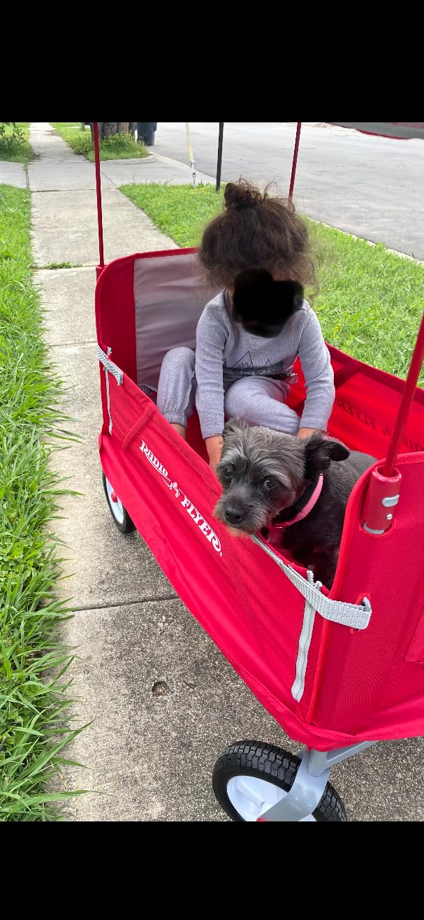 Radio Flyer 3-in-1 Off-Road EZ Fold Wagon with Canopy, for Kids 1.5+, 3-in-1 Push or Pull, with Bench Mode, One Hand Flat Fold, Off-Road Tires, DuraClean Fabric, Seat Belts, Stroller Wagon for Kids customer photo 2