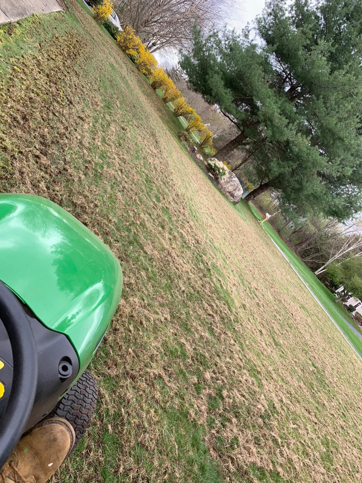 CRAFTSMAN CMXGZBF7124315, 40-Inch Tow Behind Lawn Dethatcher, 20 Durable Spring Steel Tines Lawn dethatcher, Designed to Pull Behind Lawn and Garden Tractors, Black customer photo 1
