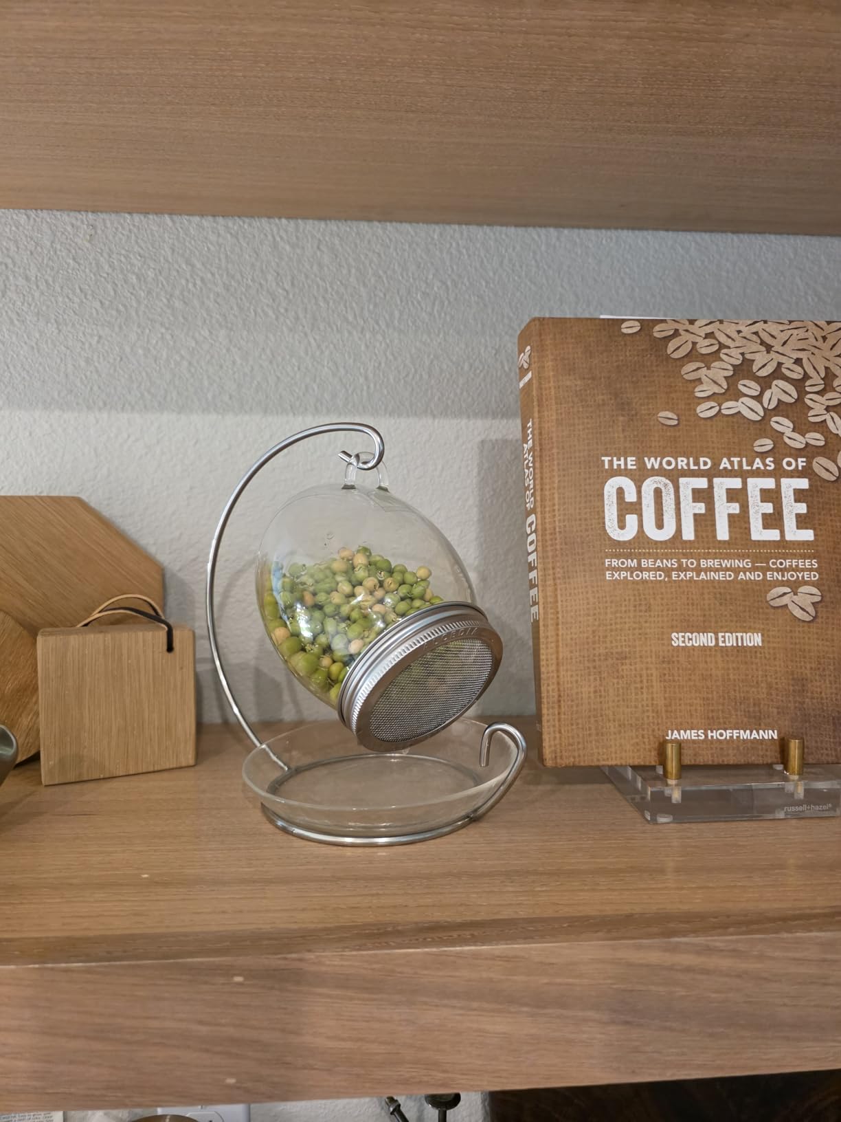Premium Sprouting Jar Kit - Unique 30 oz Wide Mouth Sprouting Jar, Stand, Tray and 316 Stainless Screen Lid | Decorative Indoor Seed Sprouter and Germinator (1 Kit) customer photo 2