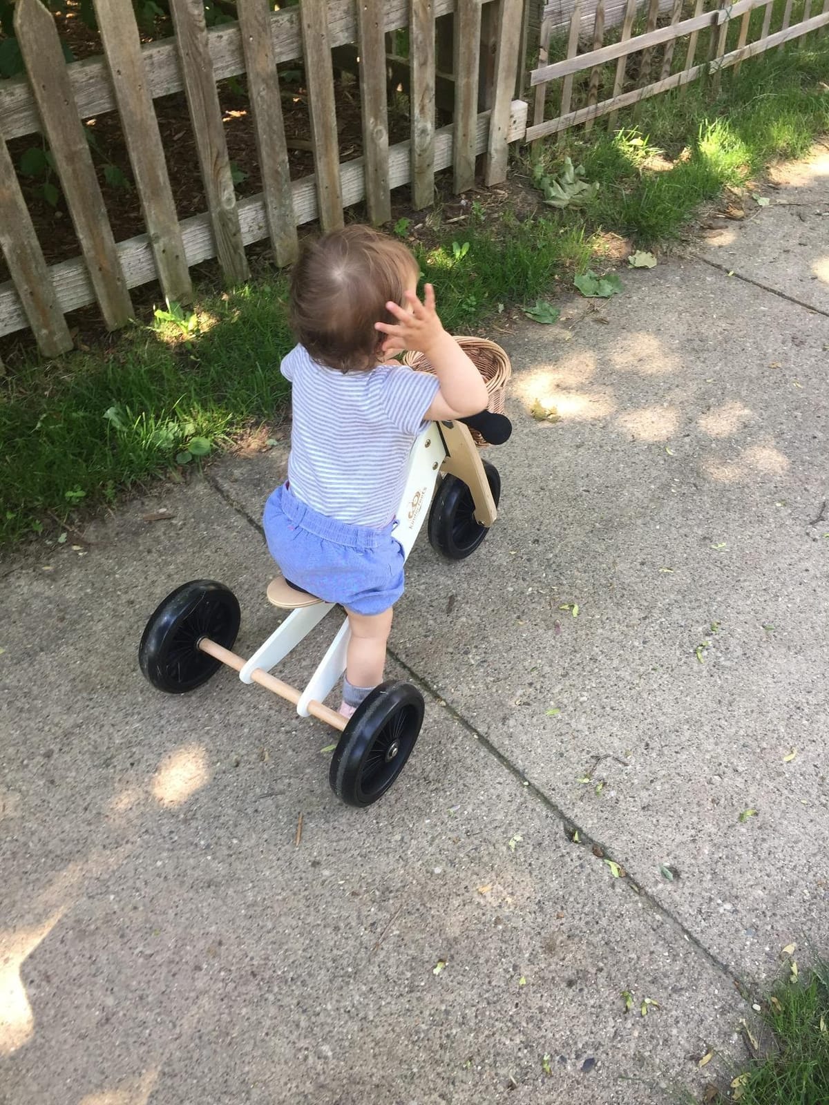 Kinderfeets Tiny Tot Plus Balance Bike for Toddlers & Kids 18 Months to 4 Years - Adjustable Seat, Puncture-Proof Tires, Pedal-Free Training Bicycle for Children customer photo 1