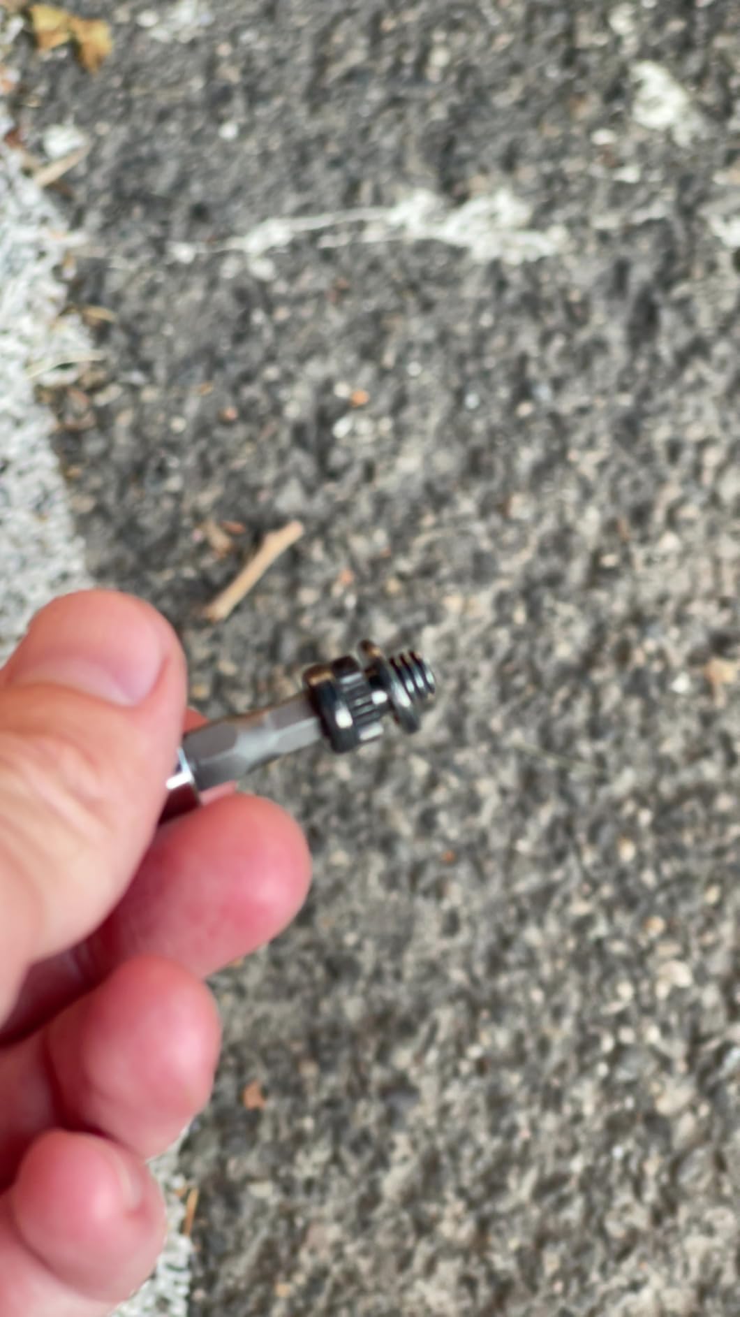 Amazon Basics 3/8-inch Drive Click Torque Wrench Ratchet, 15-80 ft.-lb, 20.4-108.5 Nm customer photo 1
