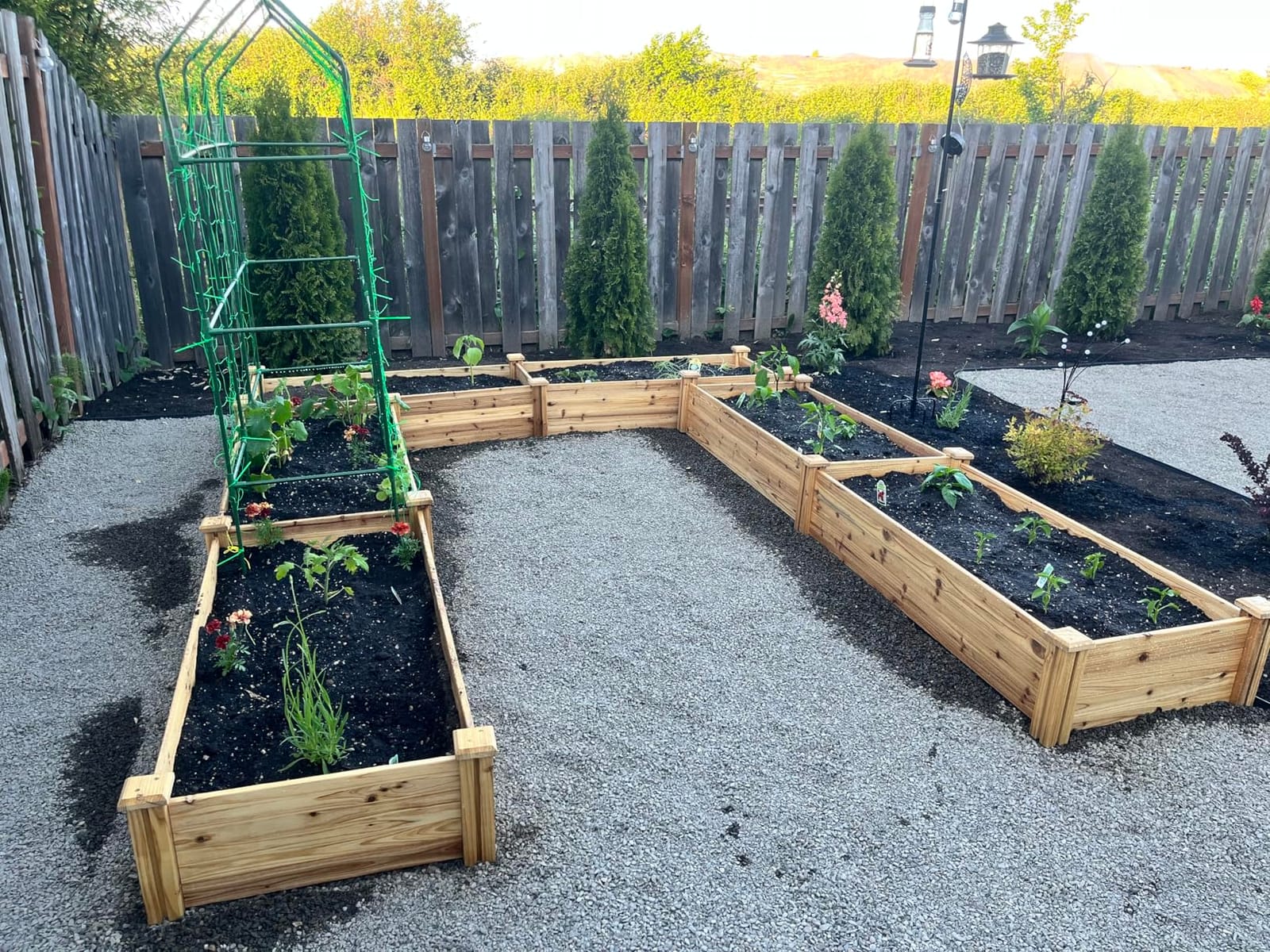 Yaheetech Raised Garden Bed Wooden Planter Box for Vegetables/Flowers, Wood | Fir wood raised bed offers easy assembly, and a practical space for growing vegetables, herbs, and garden plants. customer photo 1